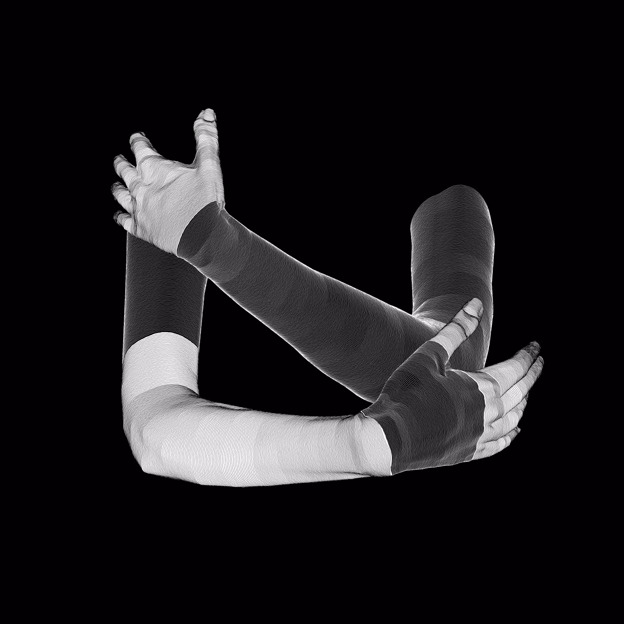 AnAtomy Base 02