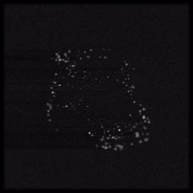 Rays & Dust #44