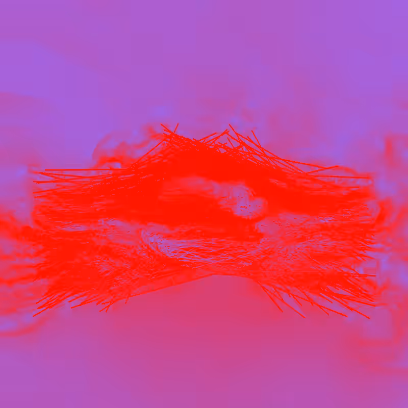 xxf #110