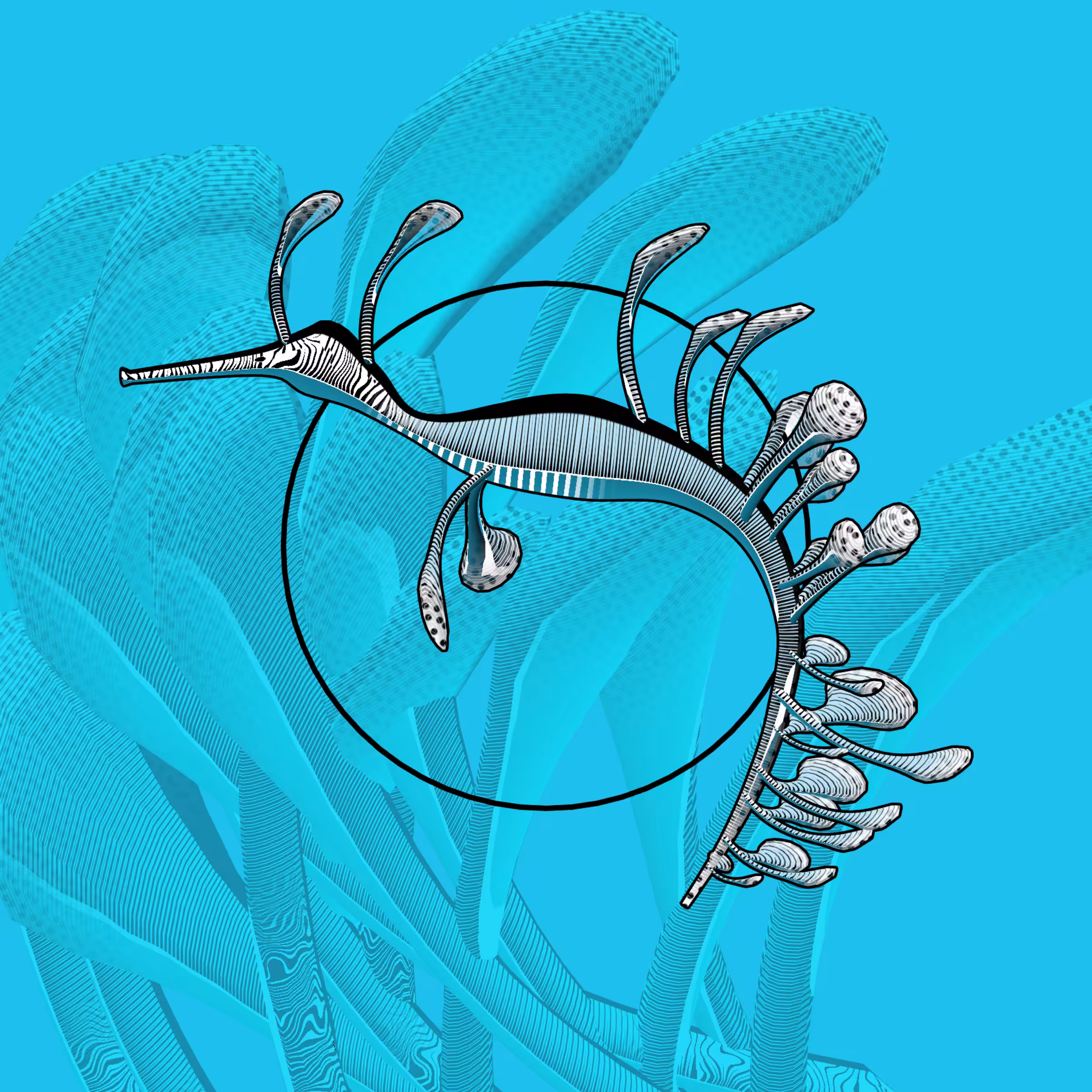 Seadragons #671
