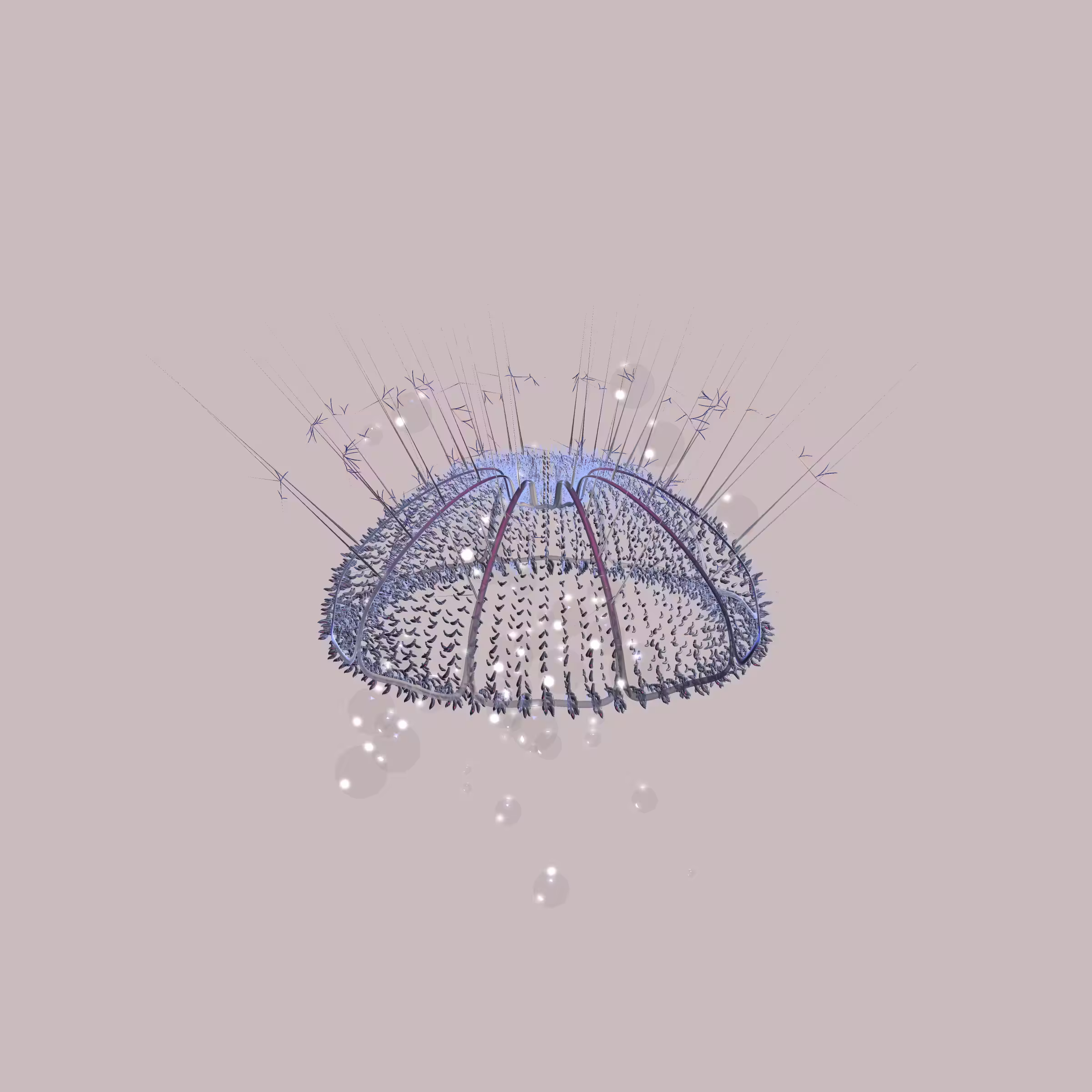 Lycorises #67