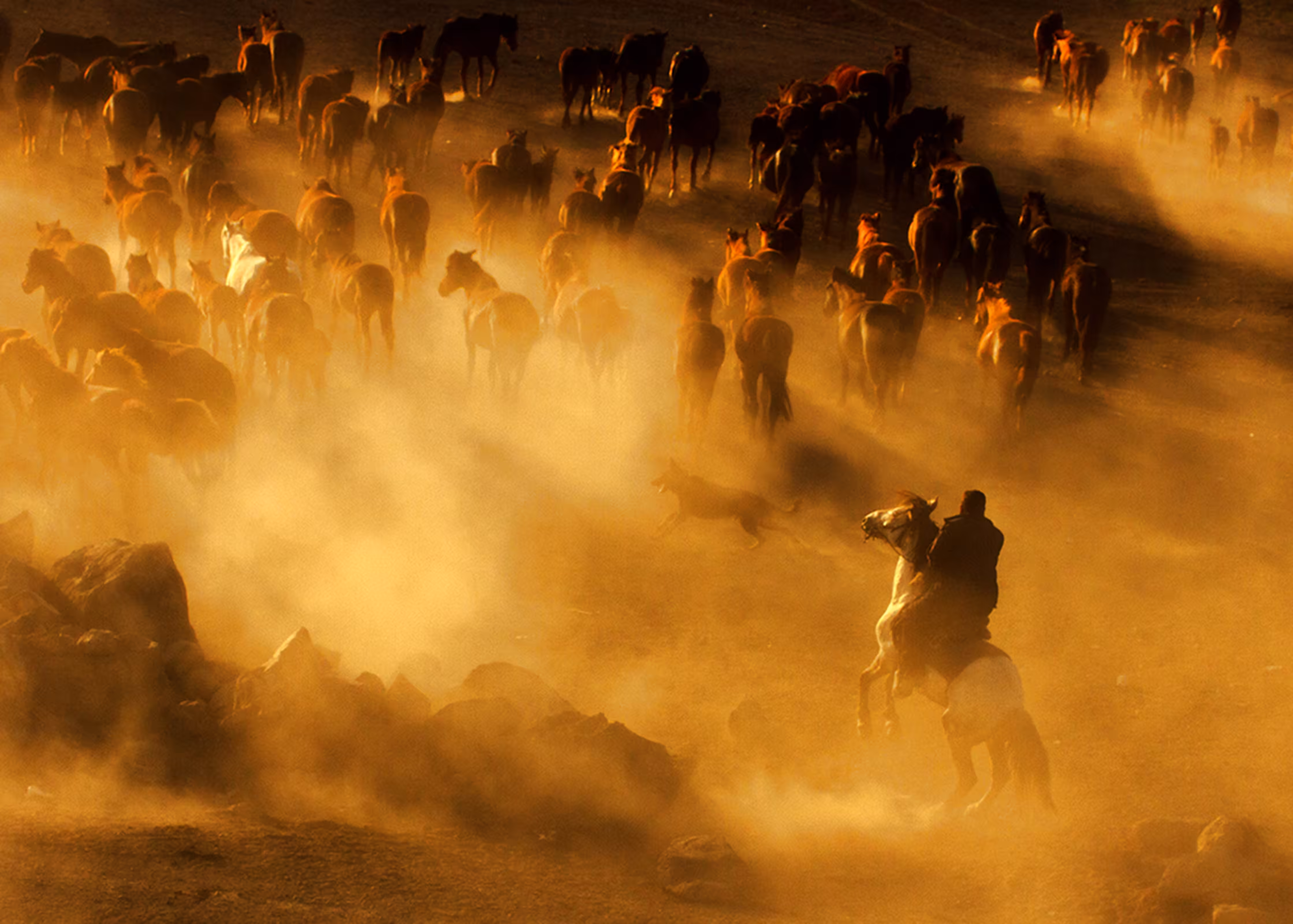 cowboy_3