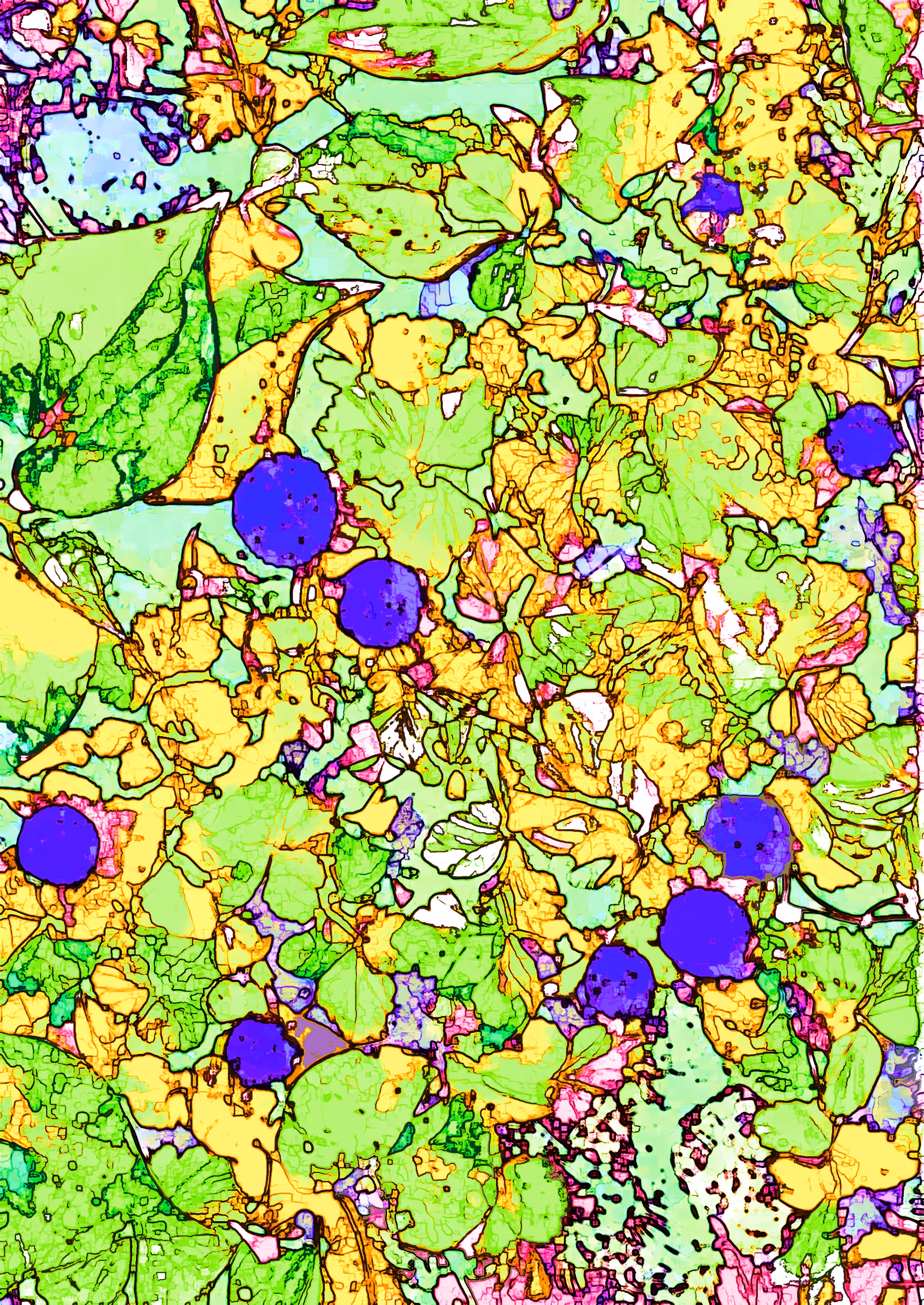 Miraculous Color: Japanese wild strawberries (colors) #3