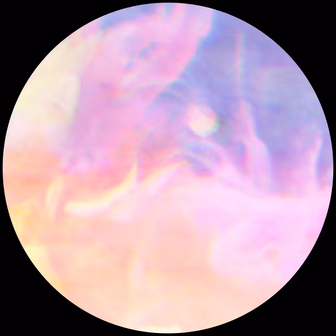 Moonrise