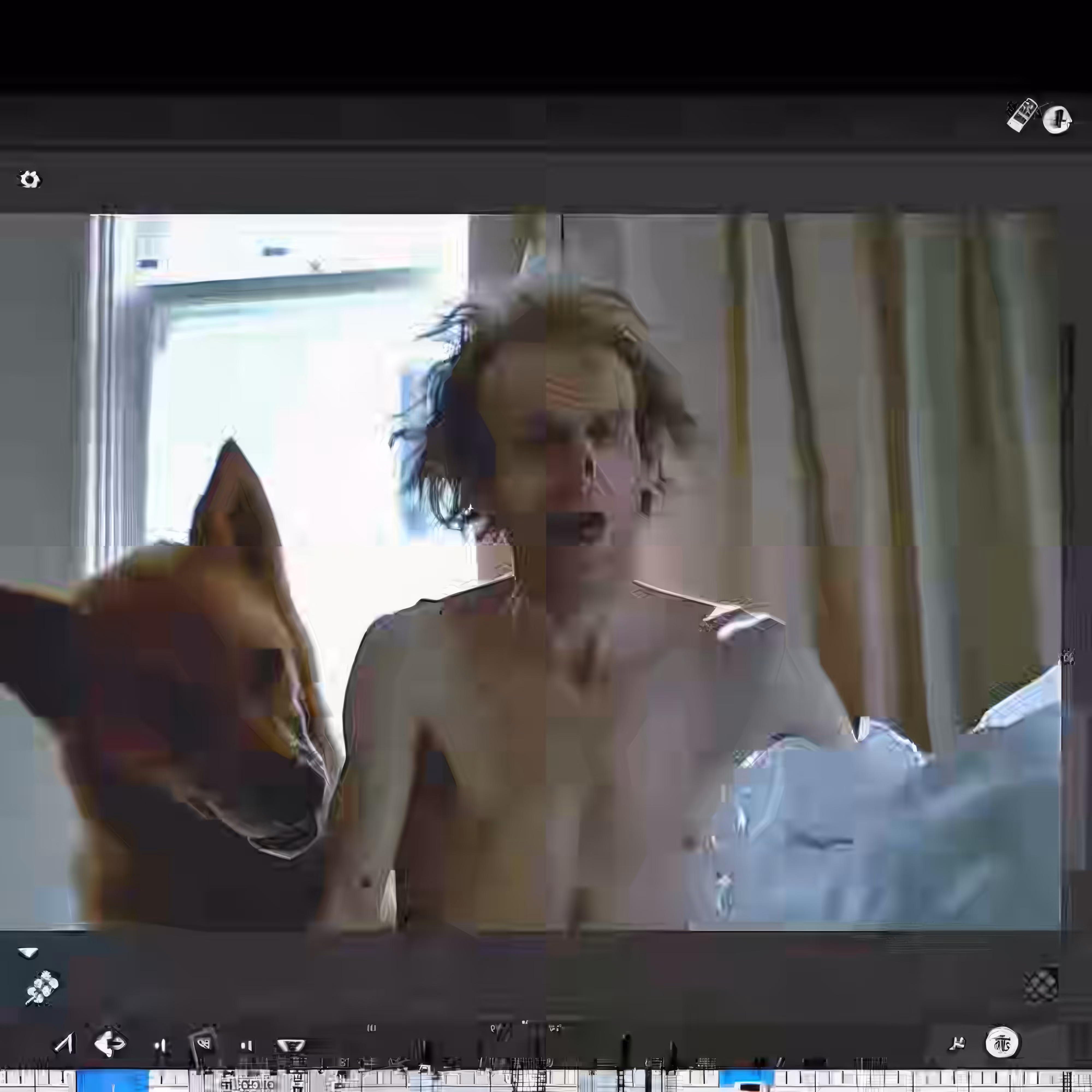 BAD JPEGs: Foxy-Disintegration