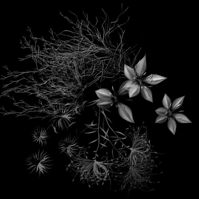 Botanical Ghosts #225