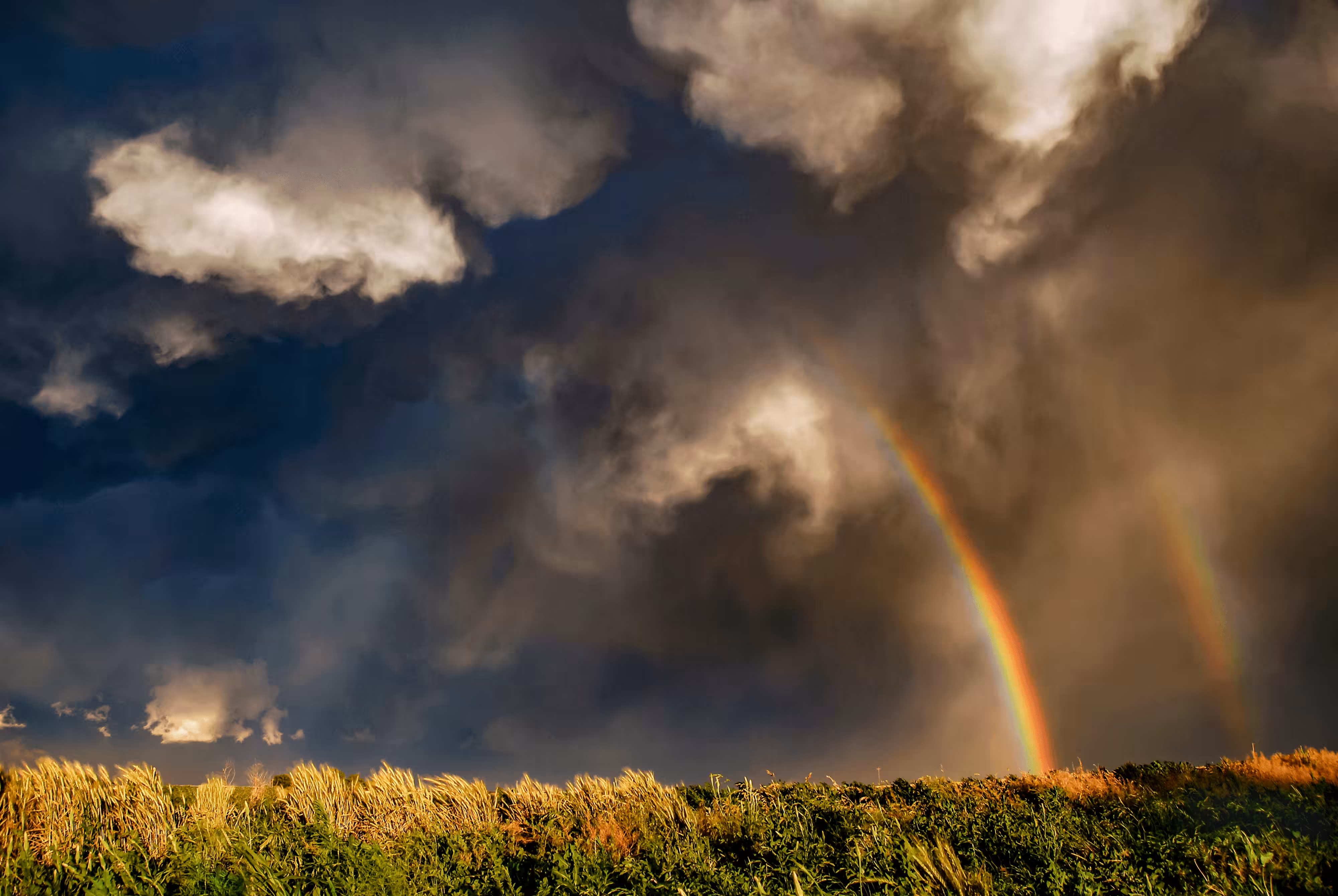 Storm of Dreams