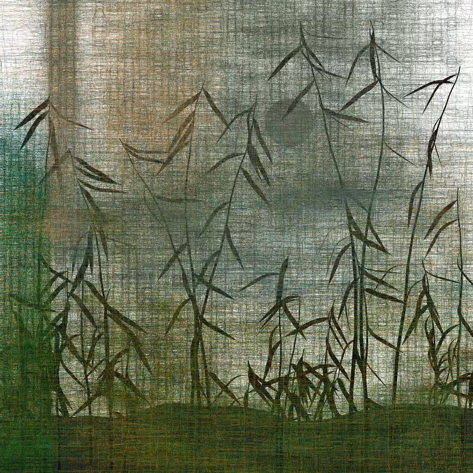 Echoes #47