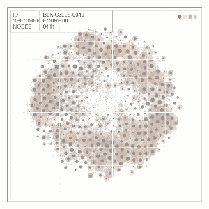BLK-C3LLS-0049-Ecureuil