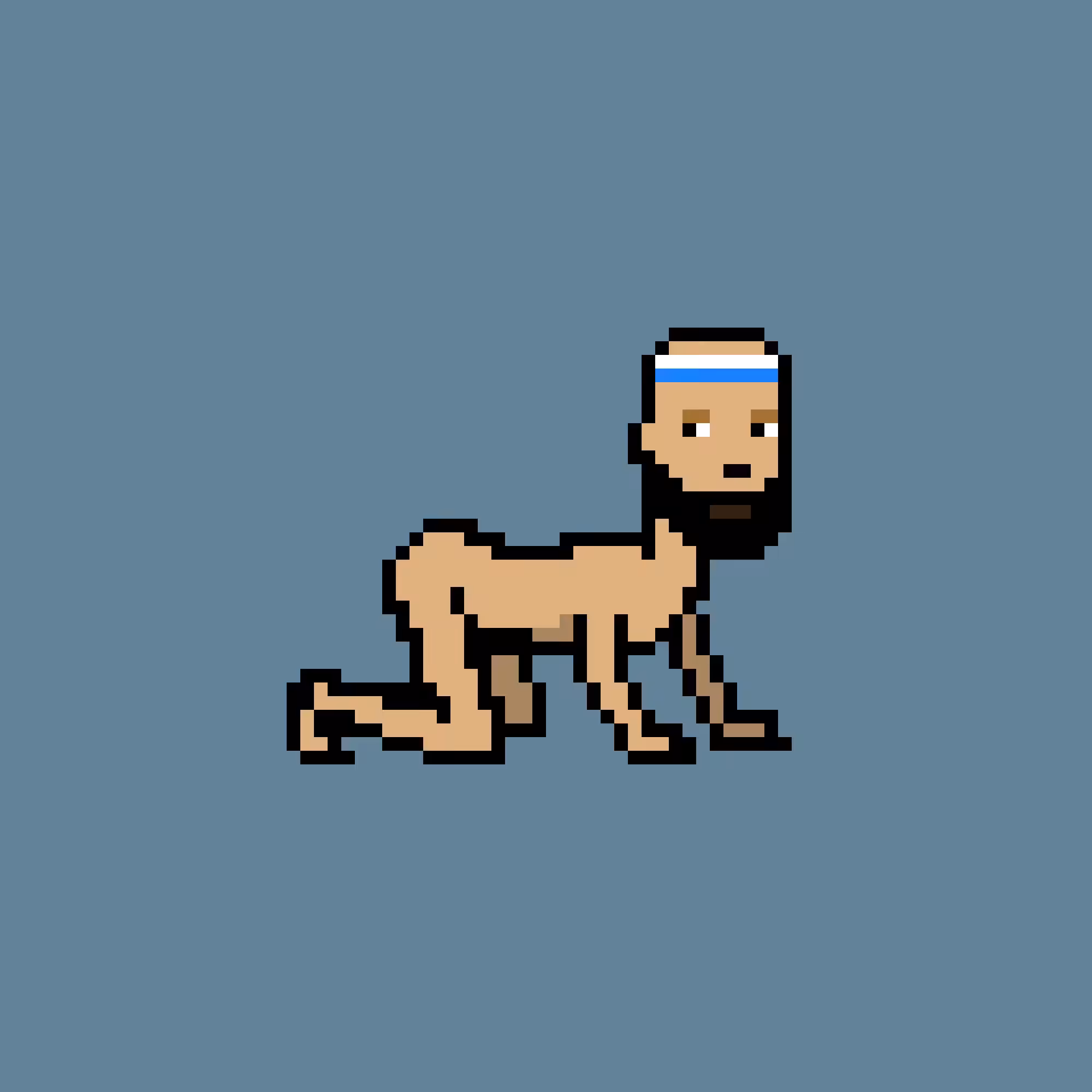 CrawlingPunks: CrawlingPunk #1500