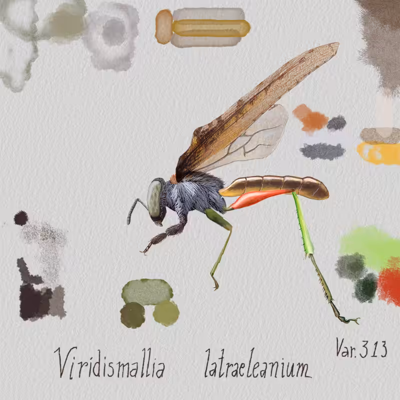 Randomic Brazilian Insects 1 #17