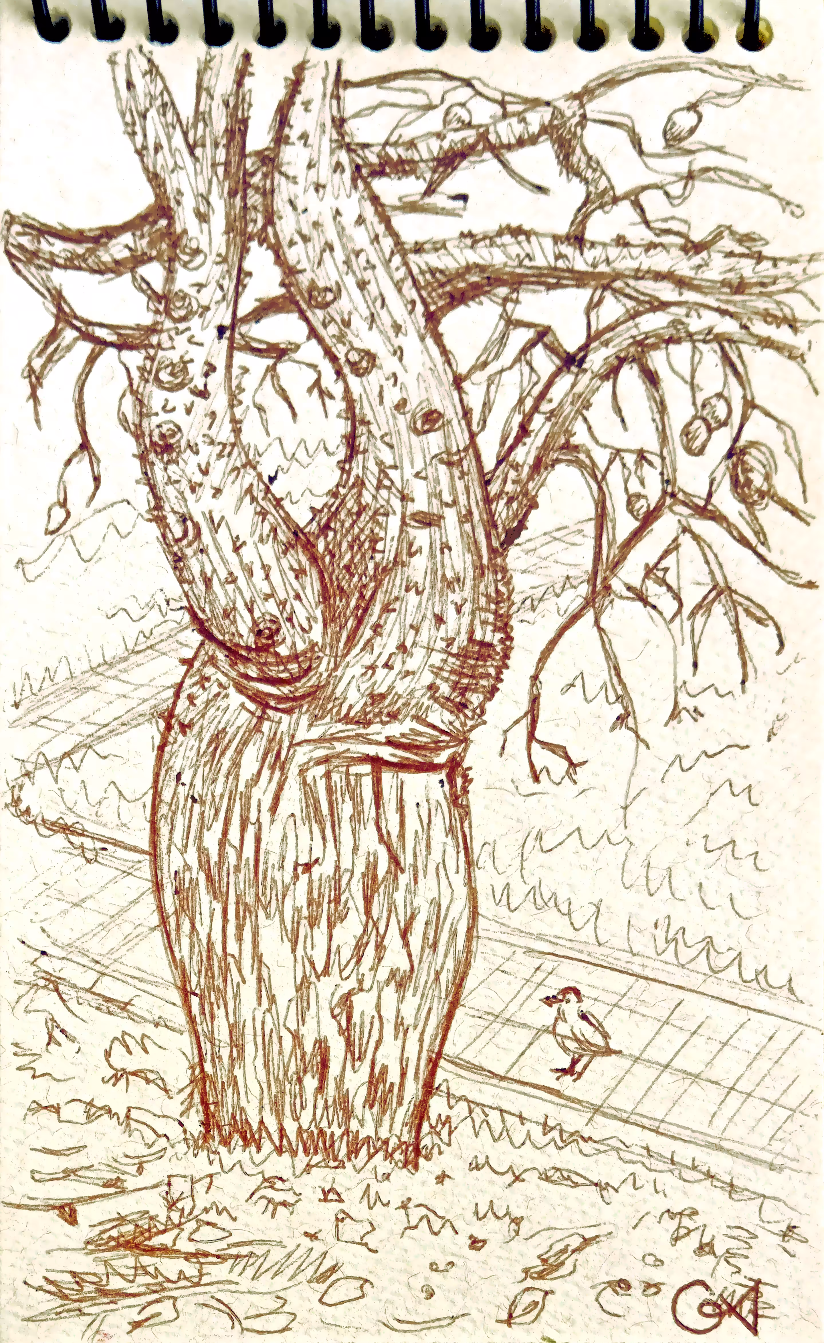 Sketches from the real world