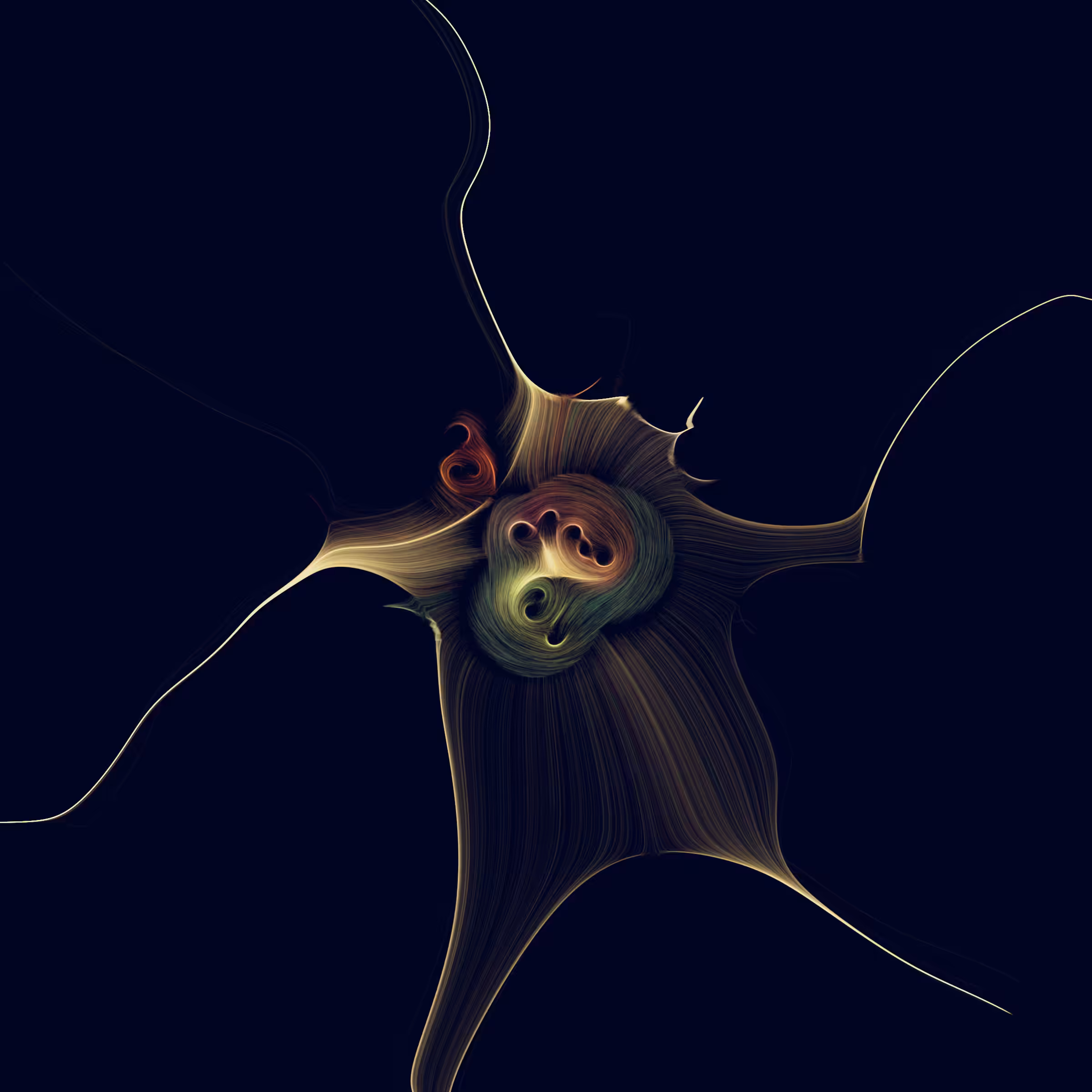Gravity 16 #887