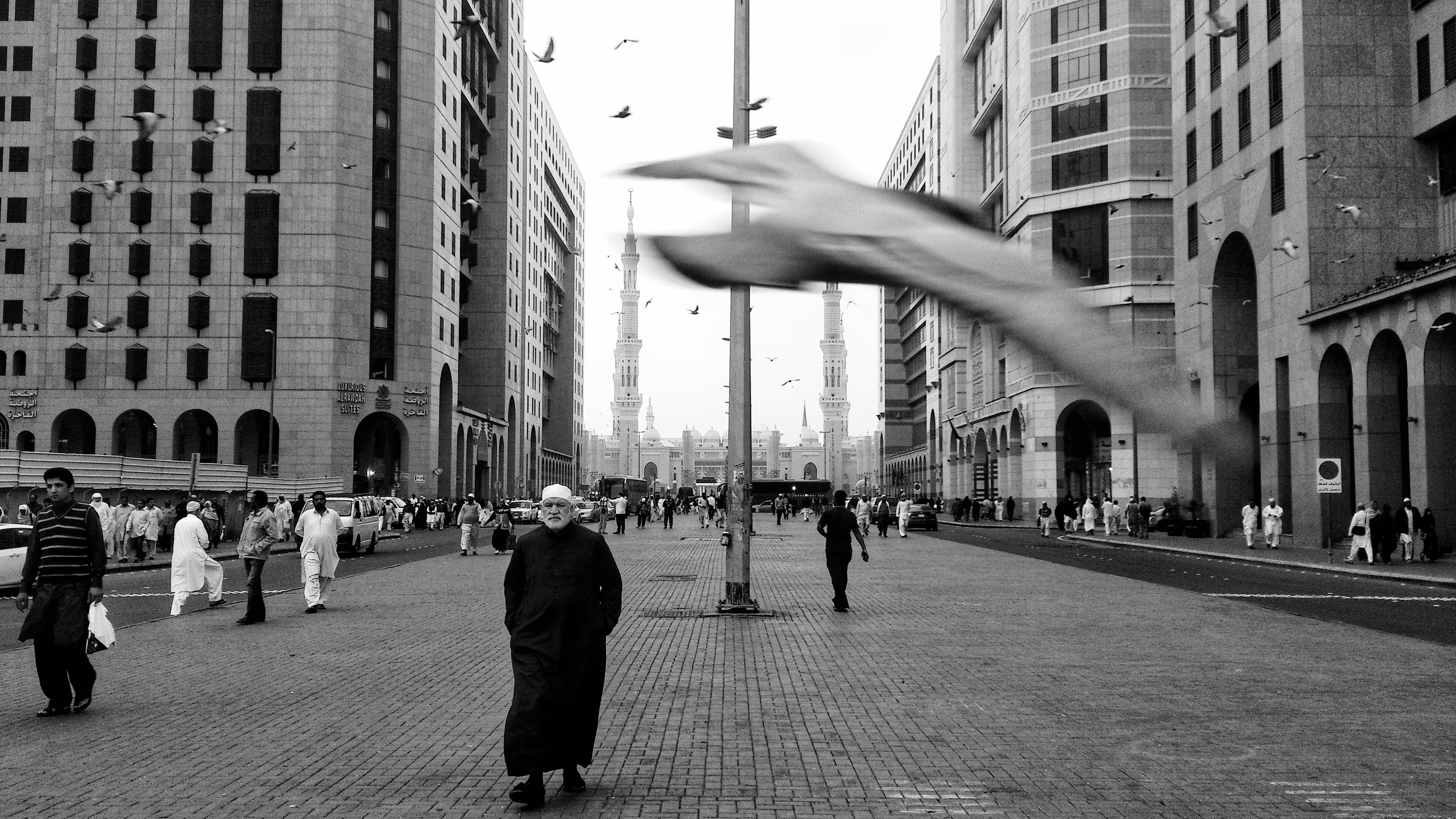 City of Birds 1