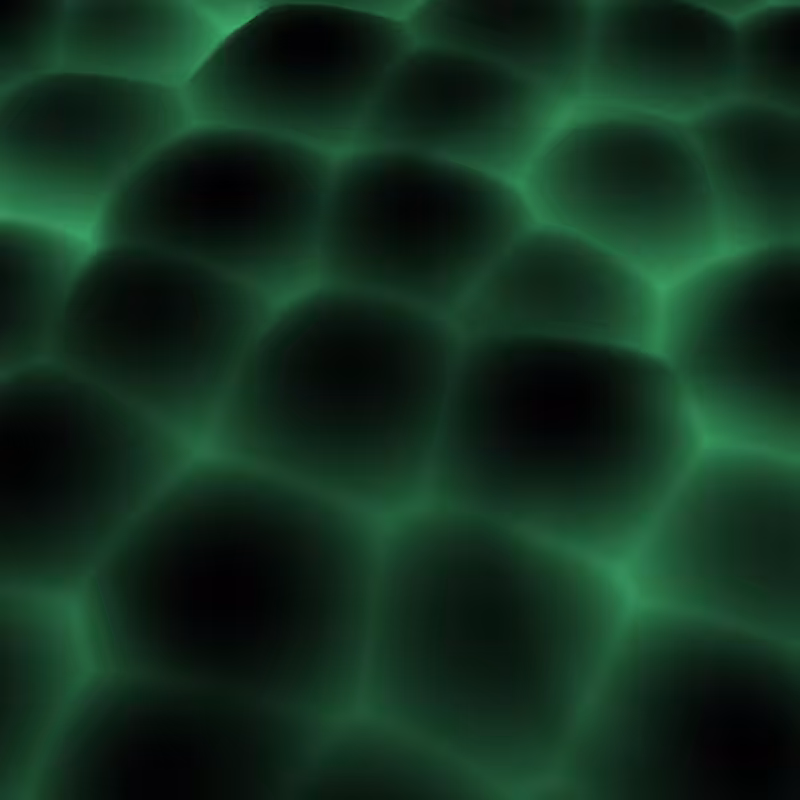 Cellular Data #66