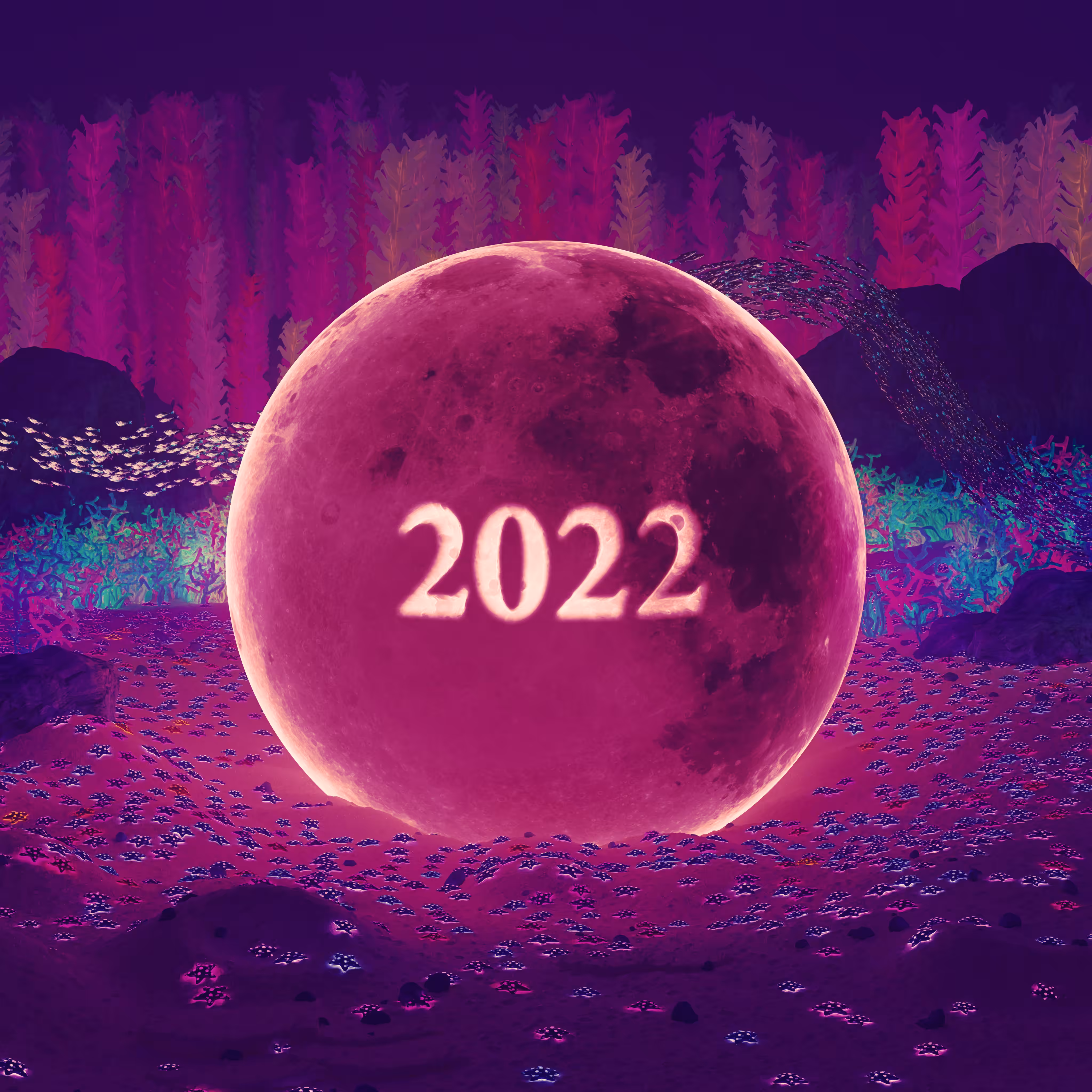 New Years Moon Pool