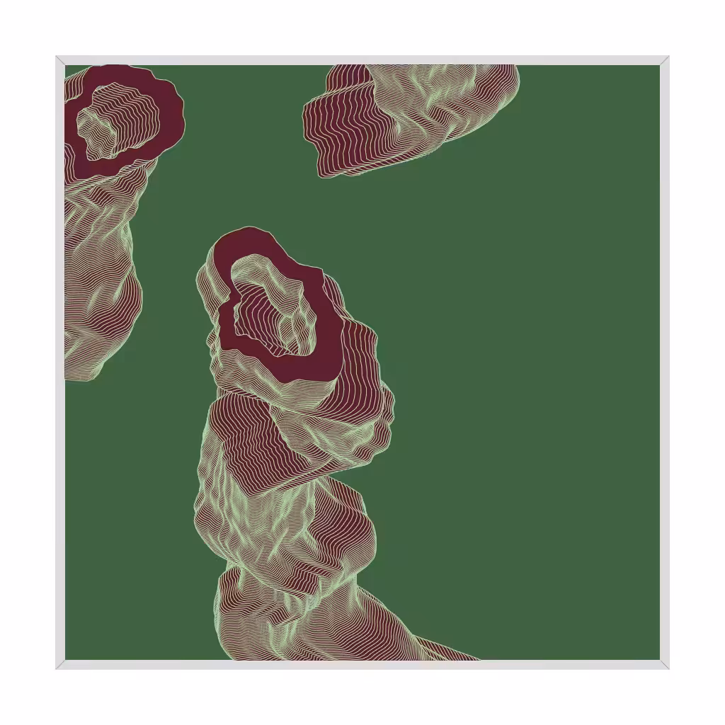Framed Growth 001