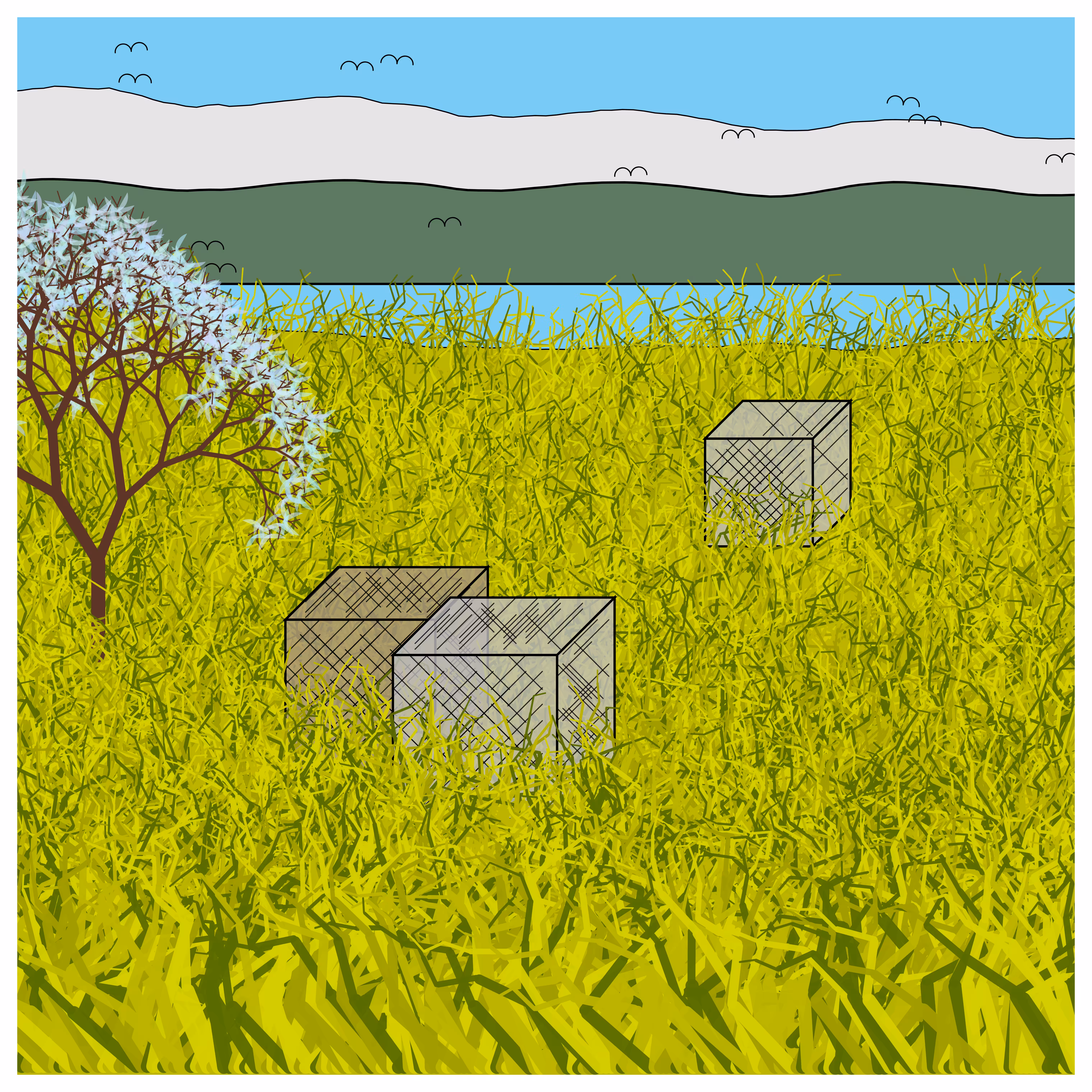 Cube Forest #19