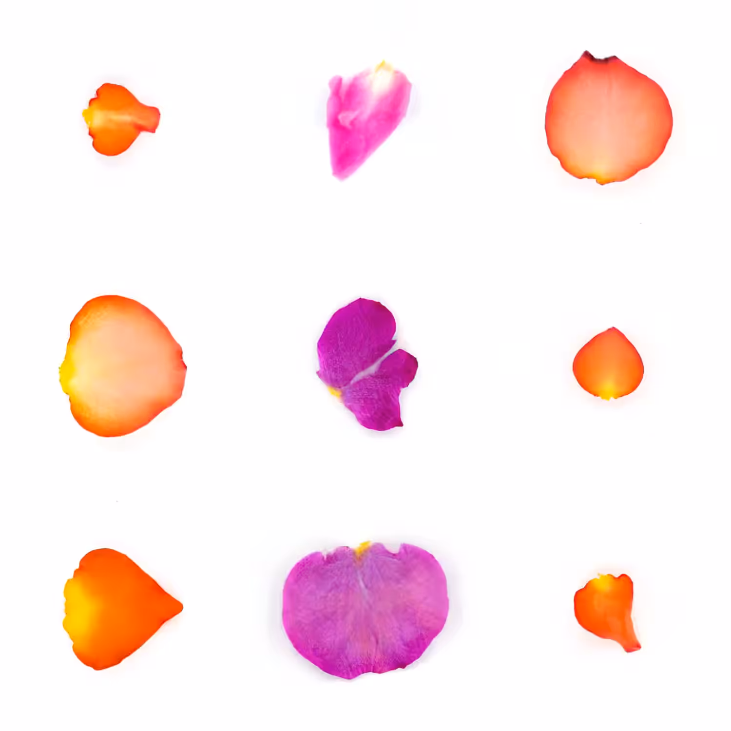 Infinite Petals 3x3#3184