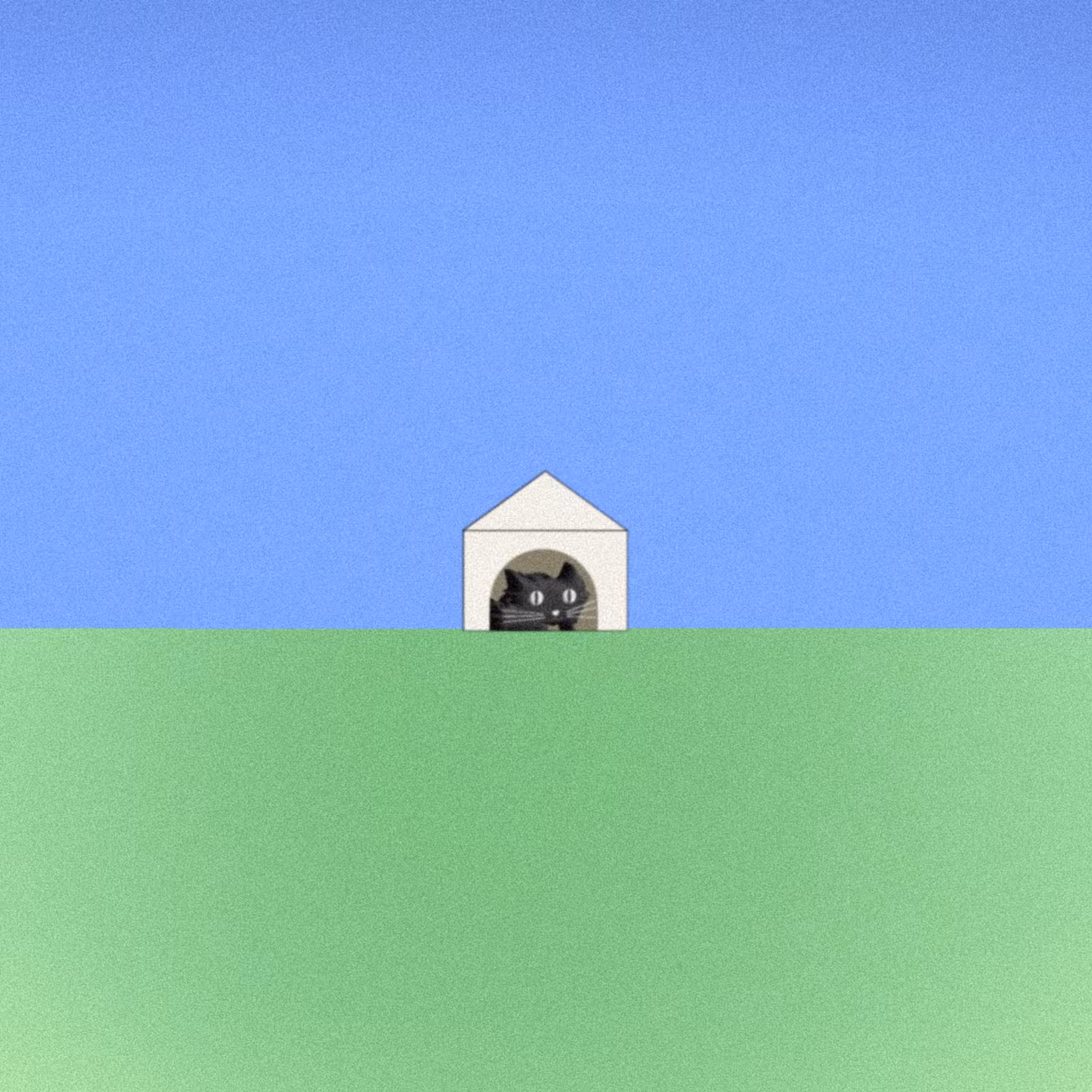 NATCAT Tezos World