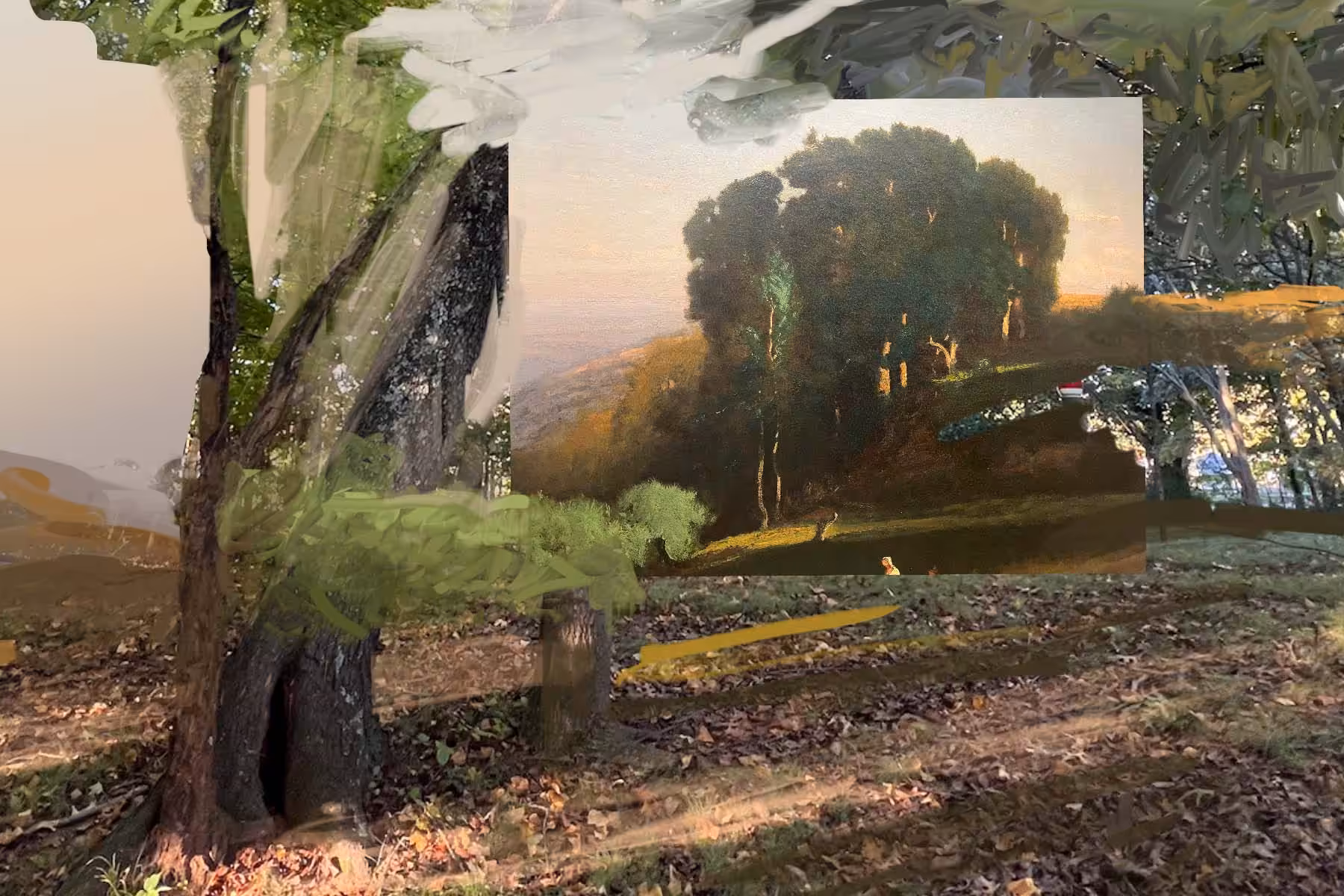Land Memory