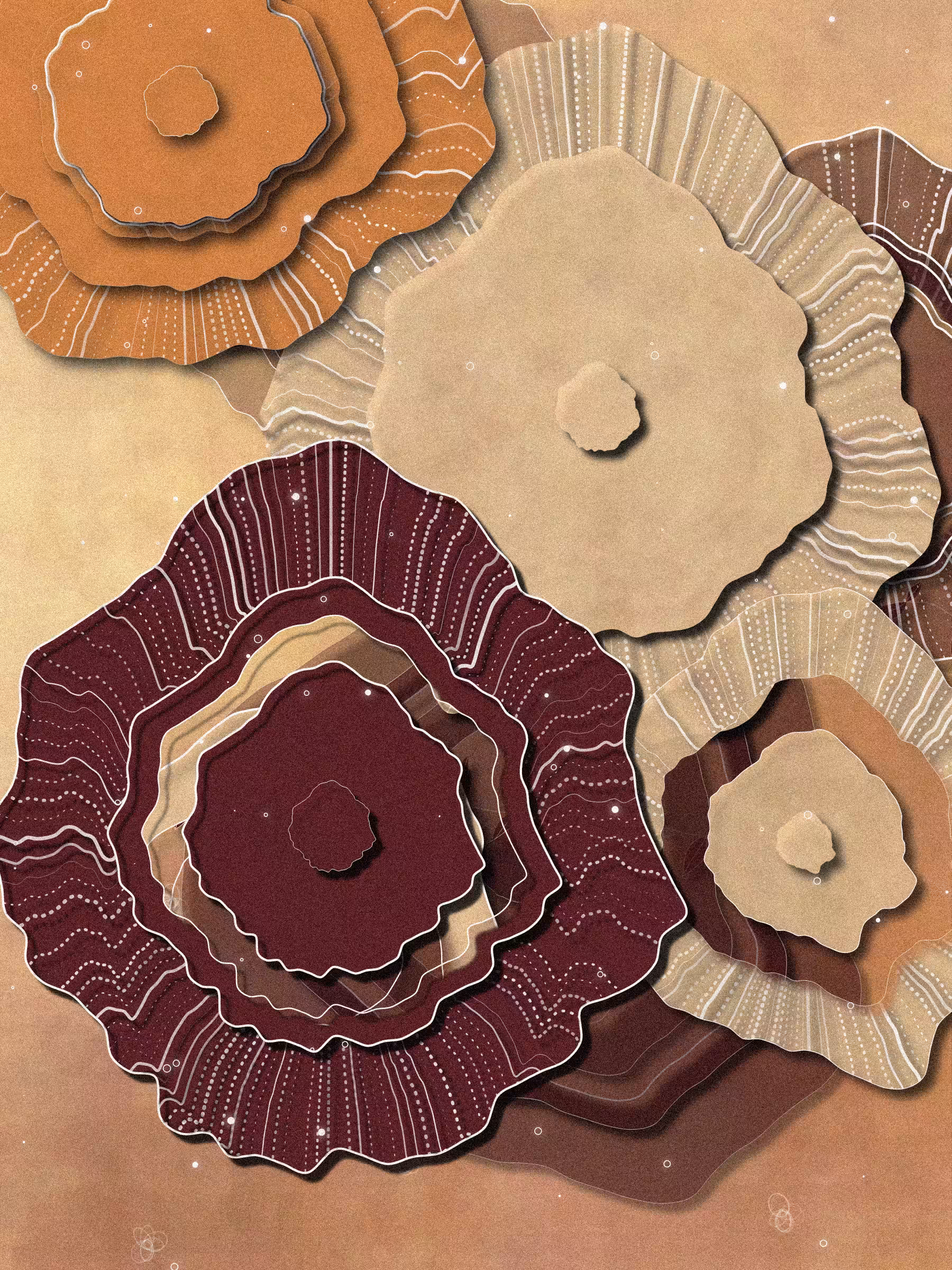 Coral #14