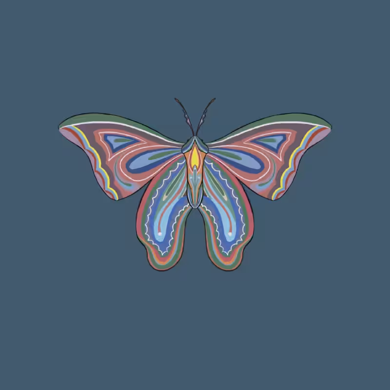 The Moth Experiment 2.0 P2 #11