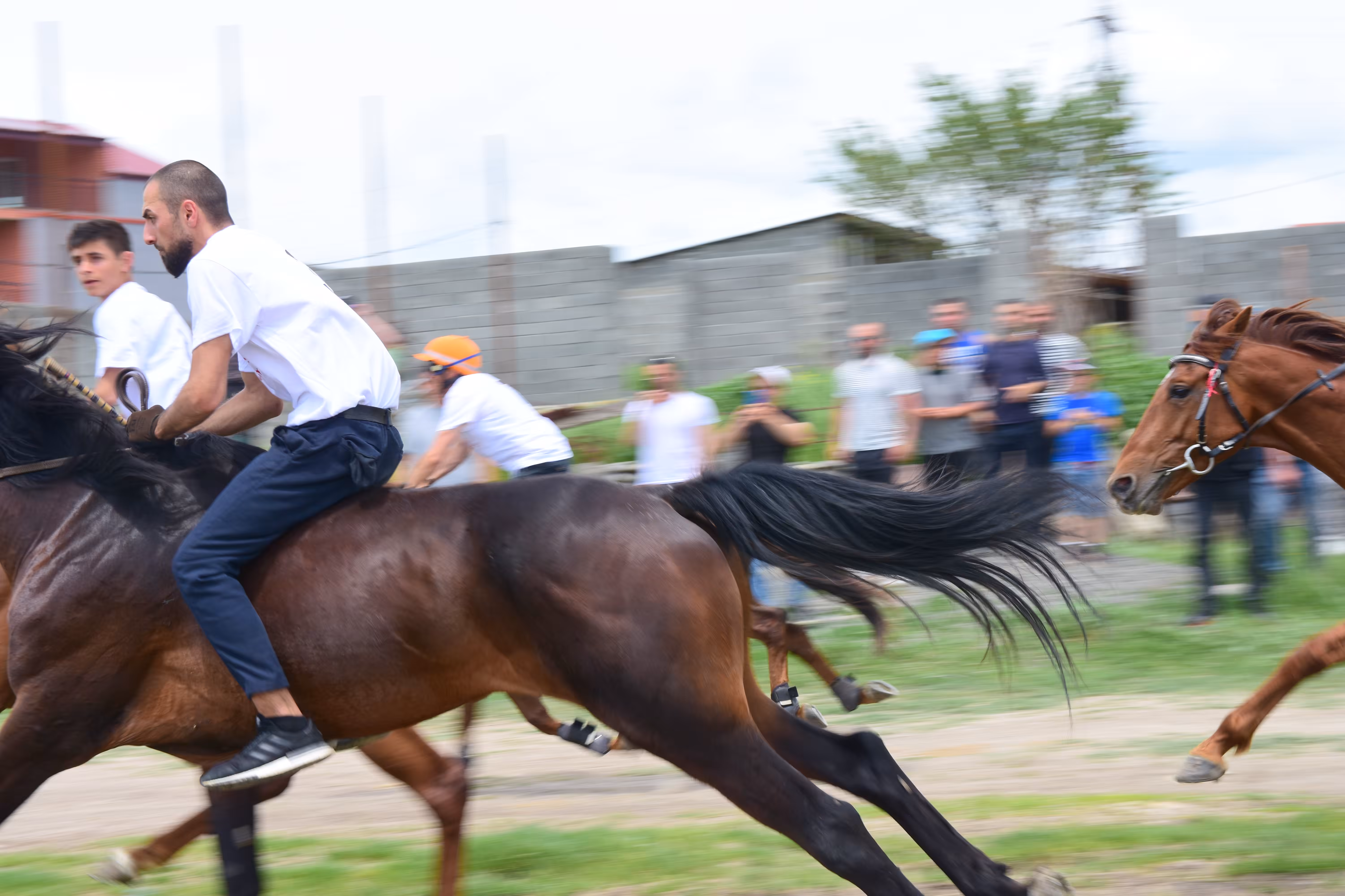 Horse Race 12