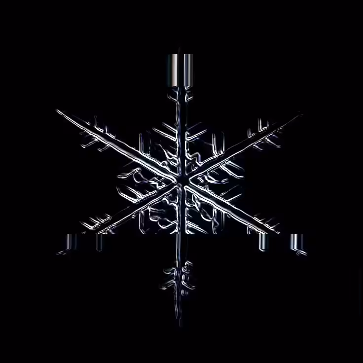 SNOW SIGNAL 005