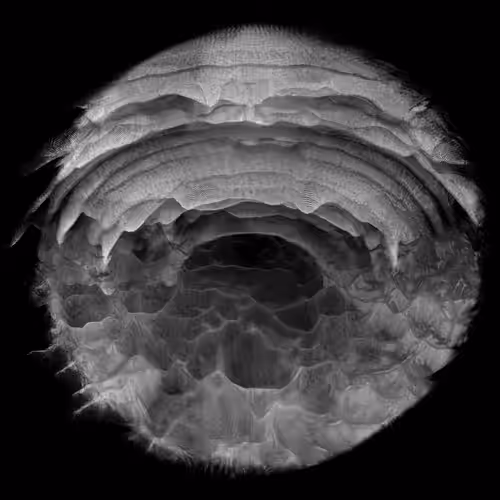Glimpse of a generative distopia - 01