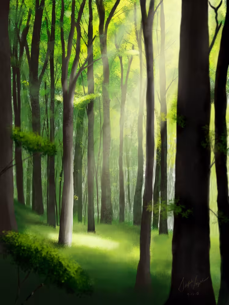 Forest