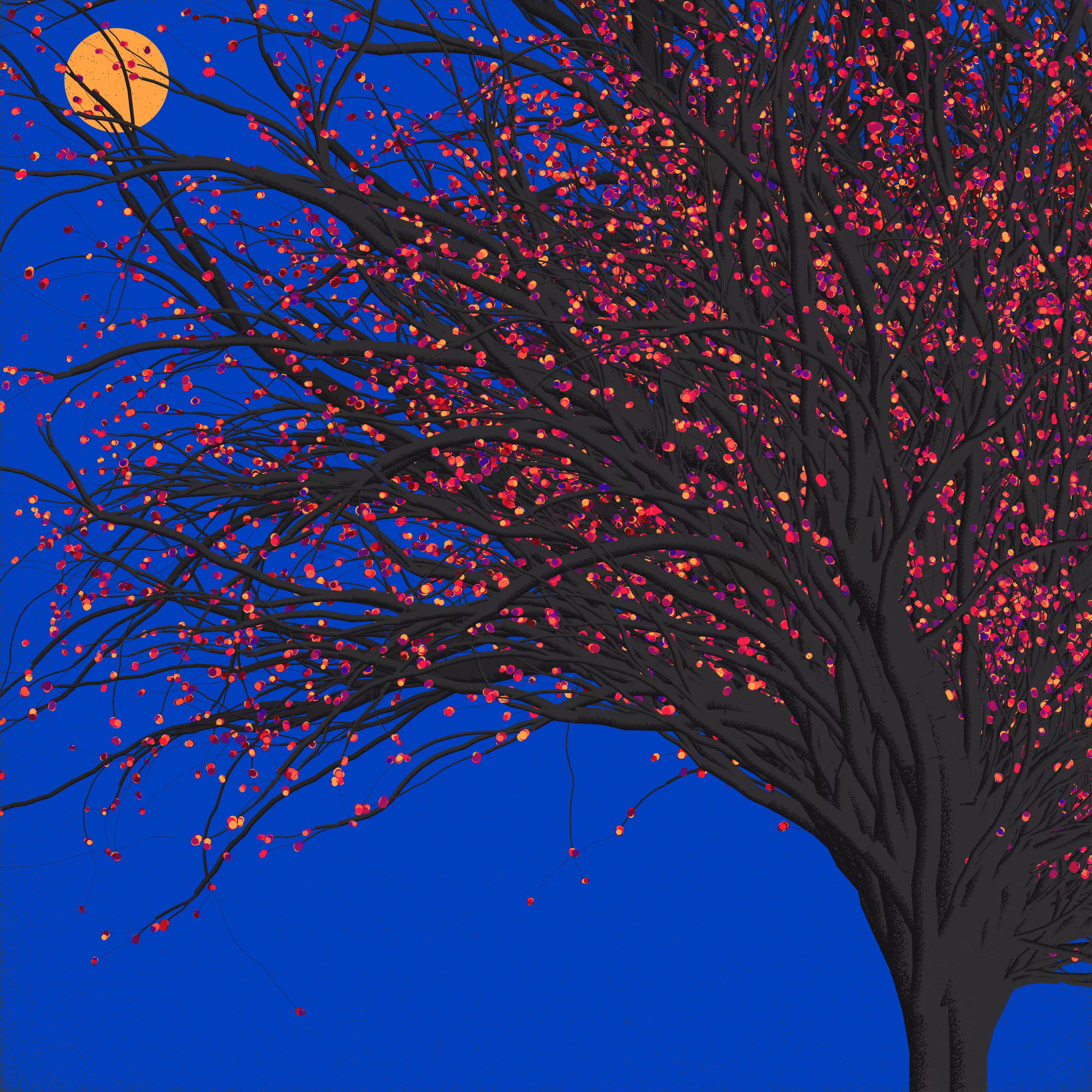 Tree and moon