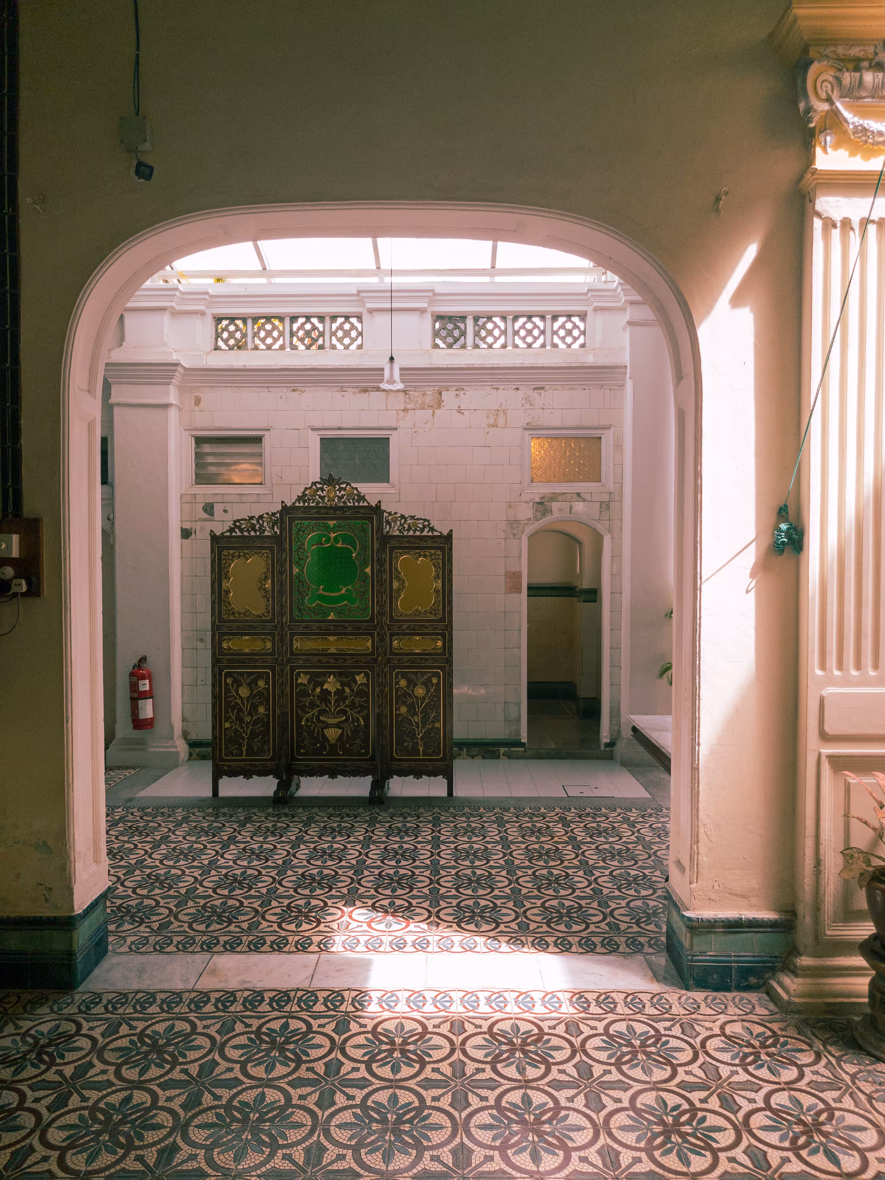 Legacy in Light and Shadow