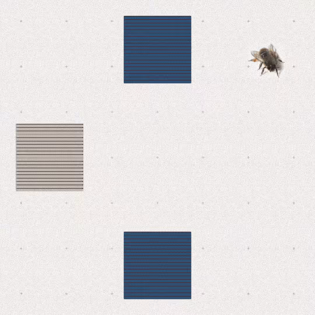 Bee #44