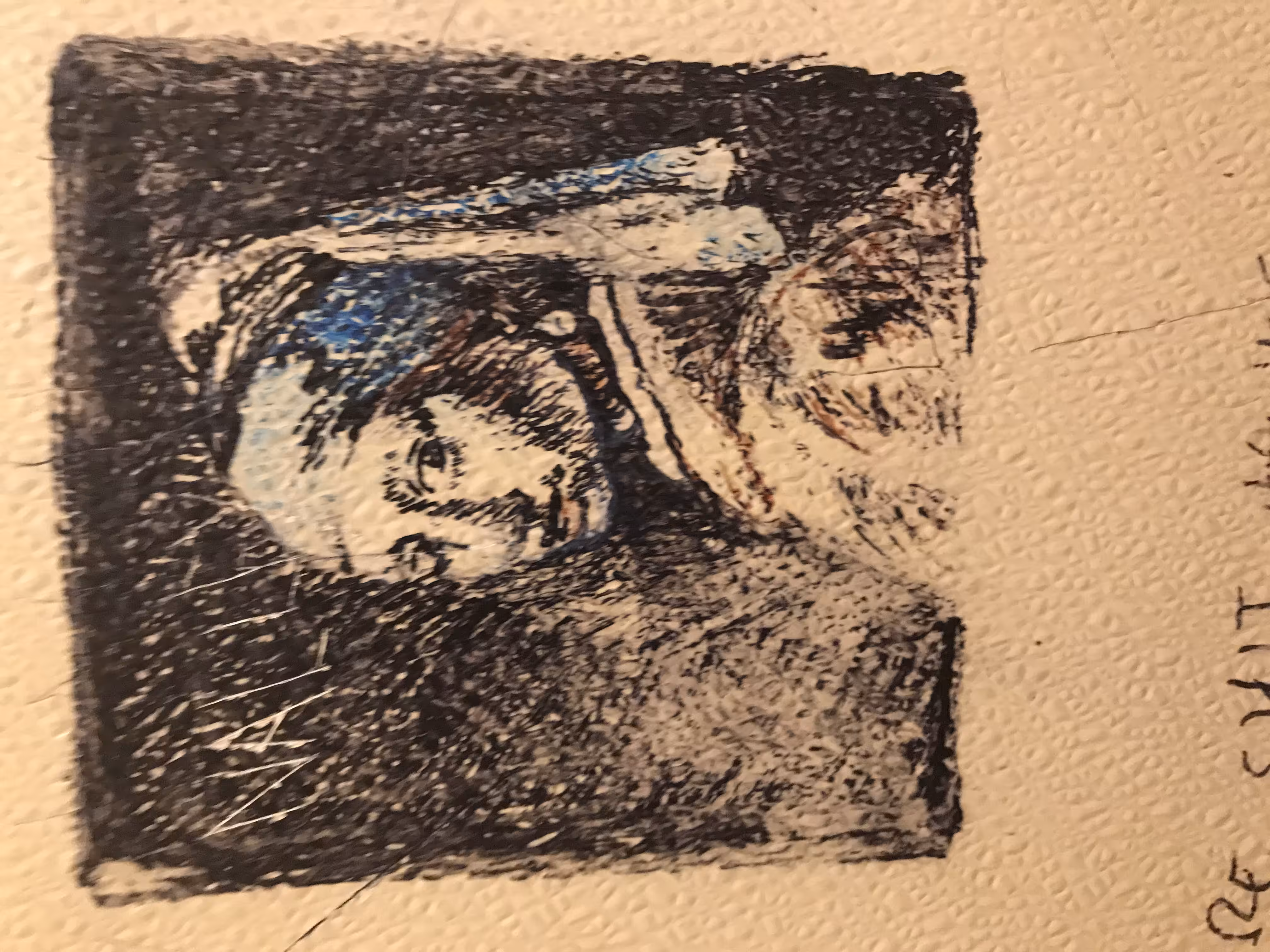 Wall Lady