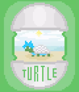 TURTLE 'RICK'
