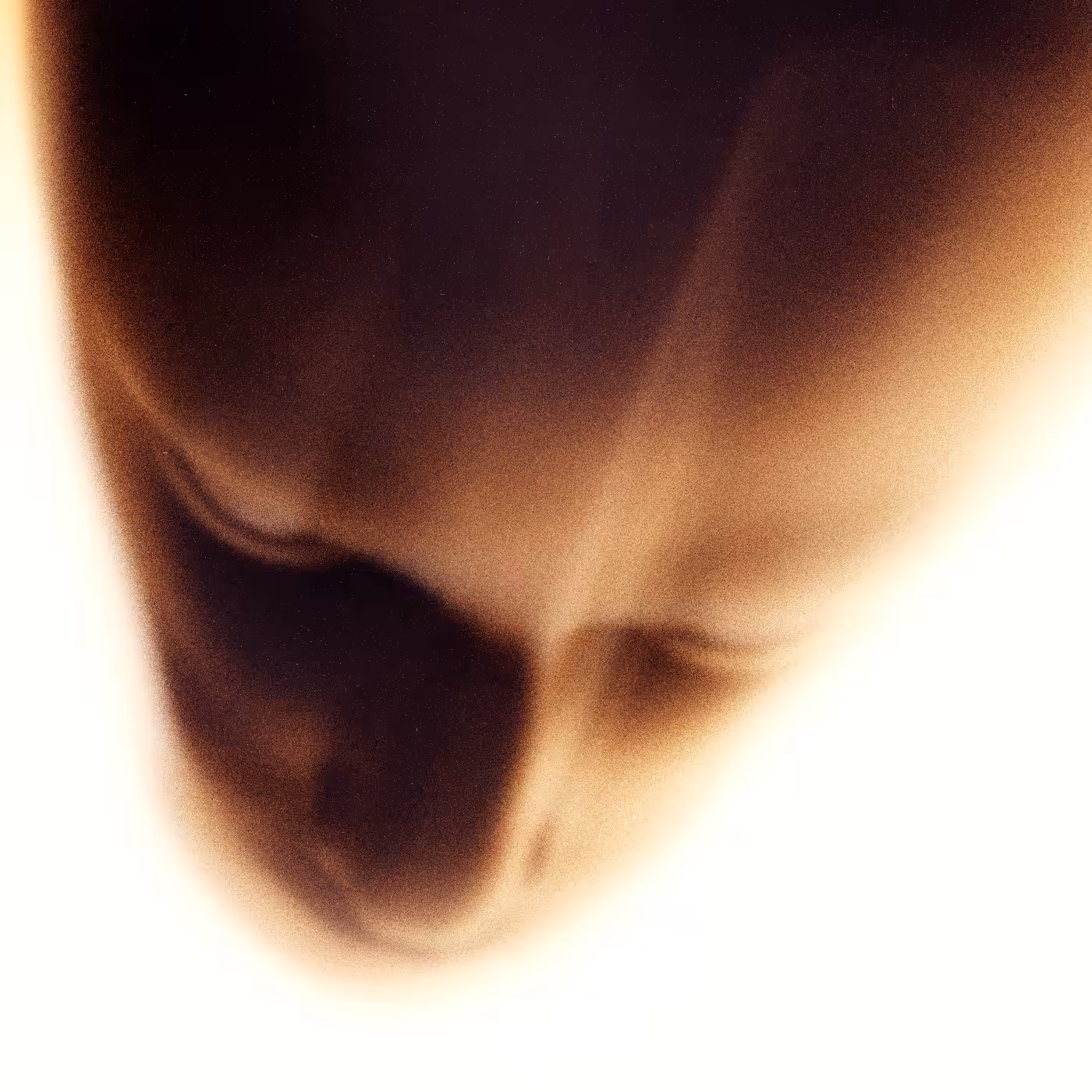 Emotional Shell #388