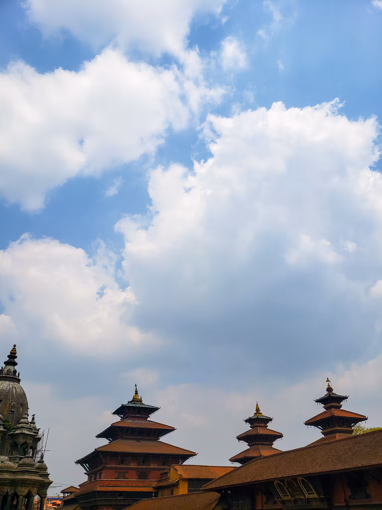 クモ 〇〇四、Bhaktapur 2019
