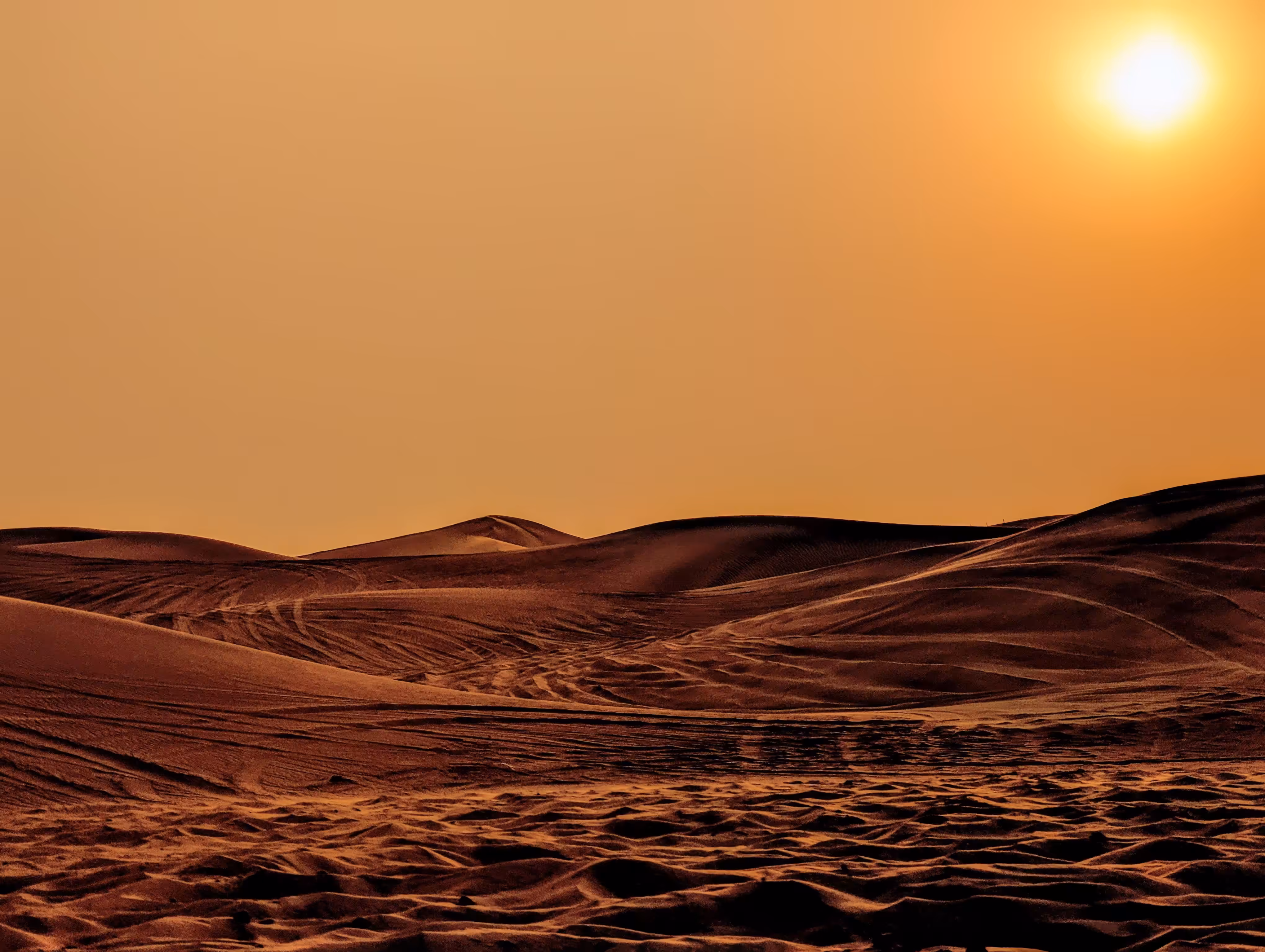 Dubai Desert