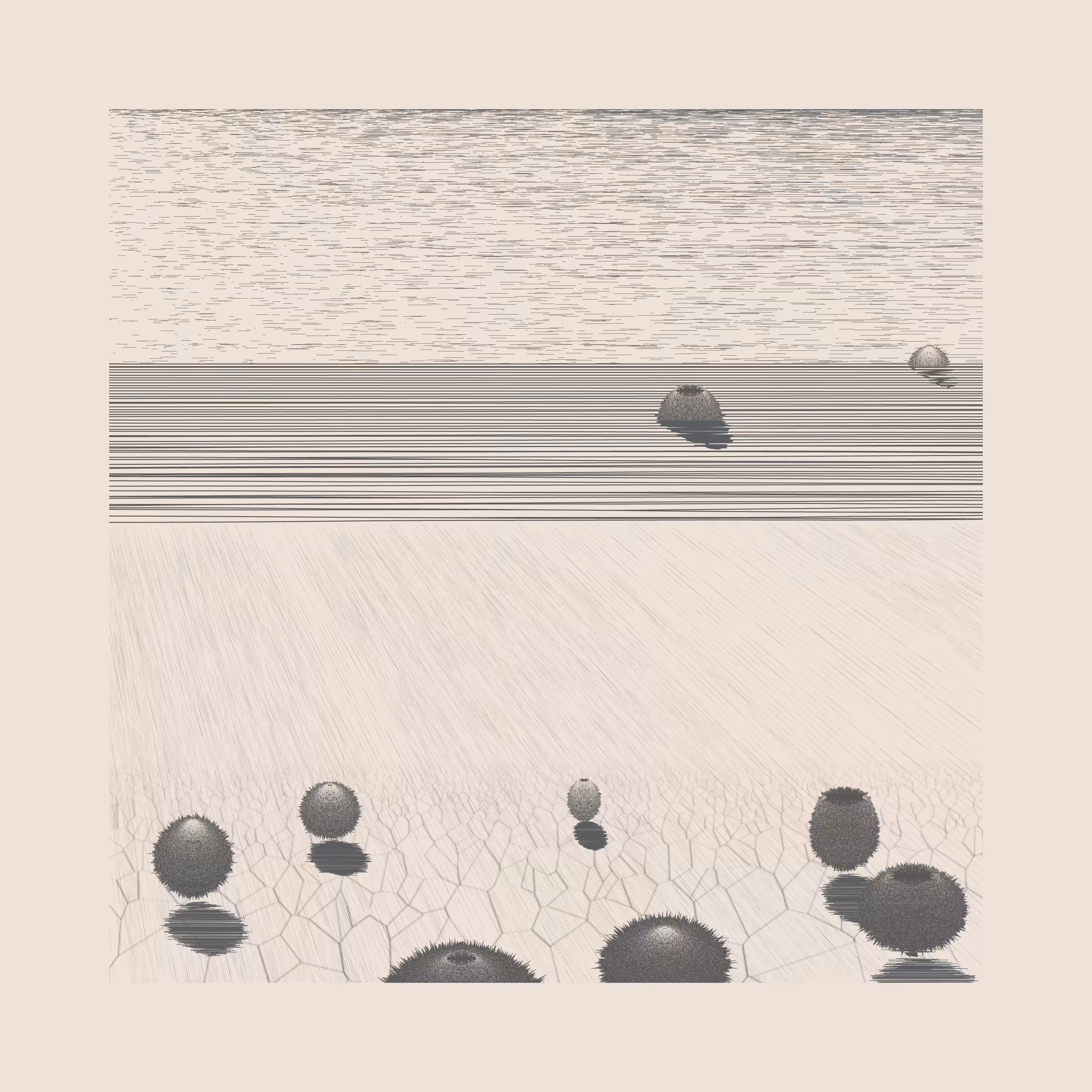 Under a New Sky #26