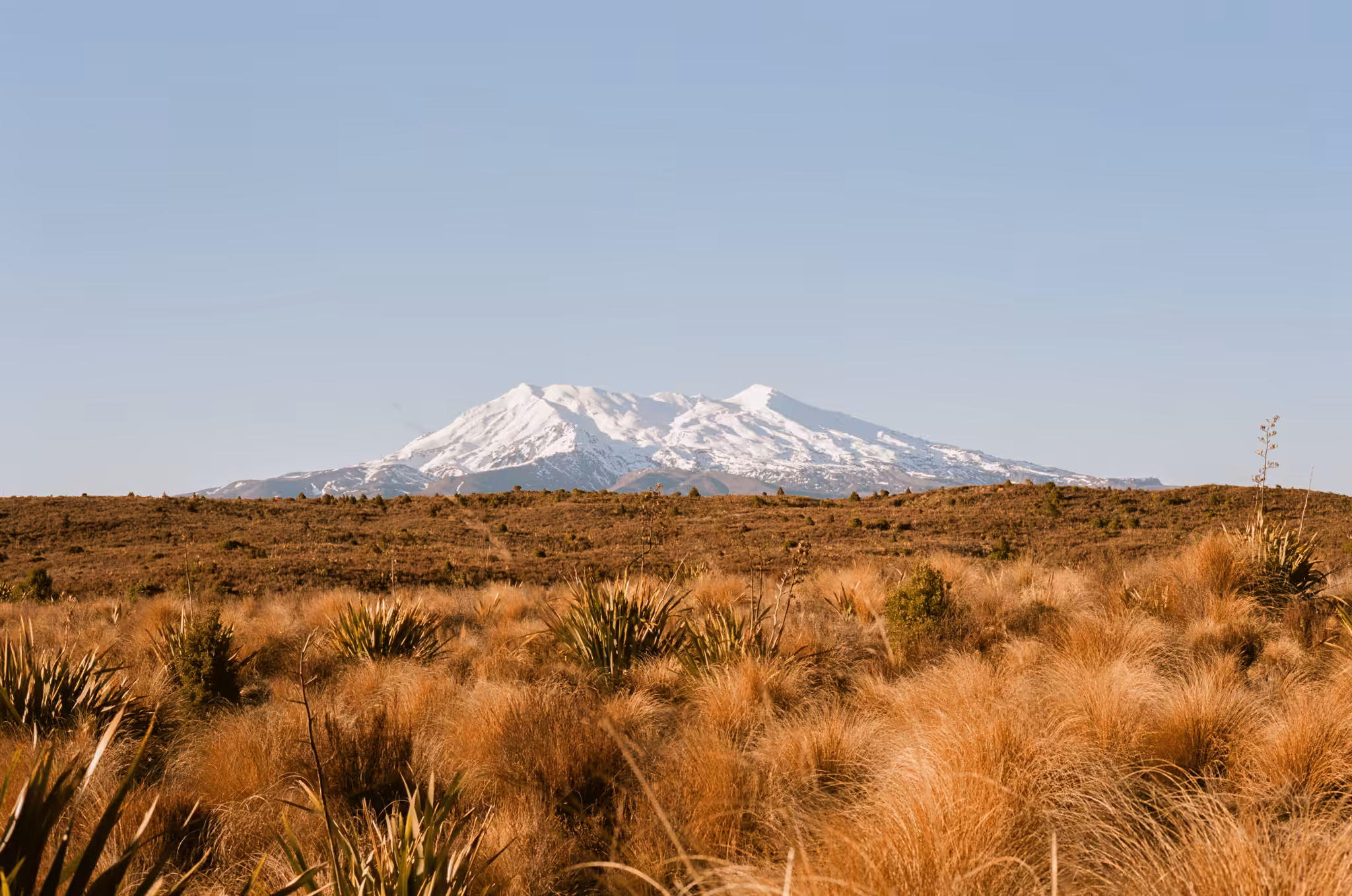 Mt Ruapehu #1