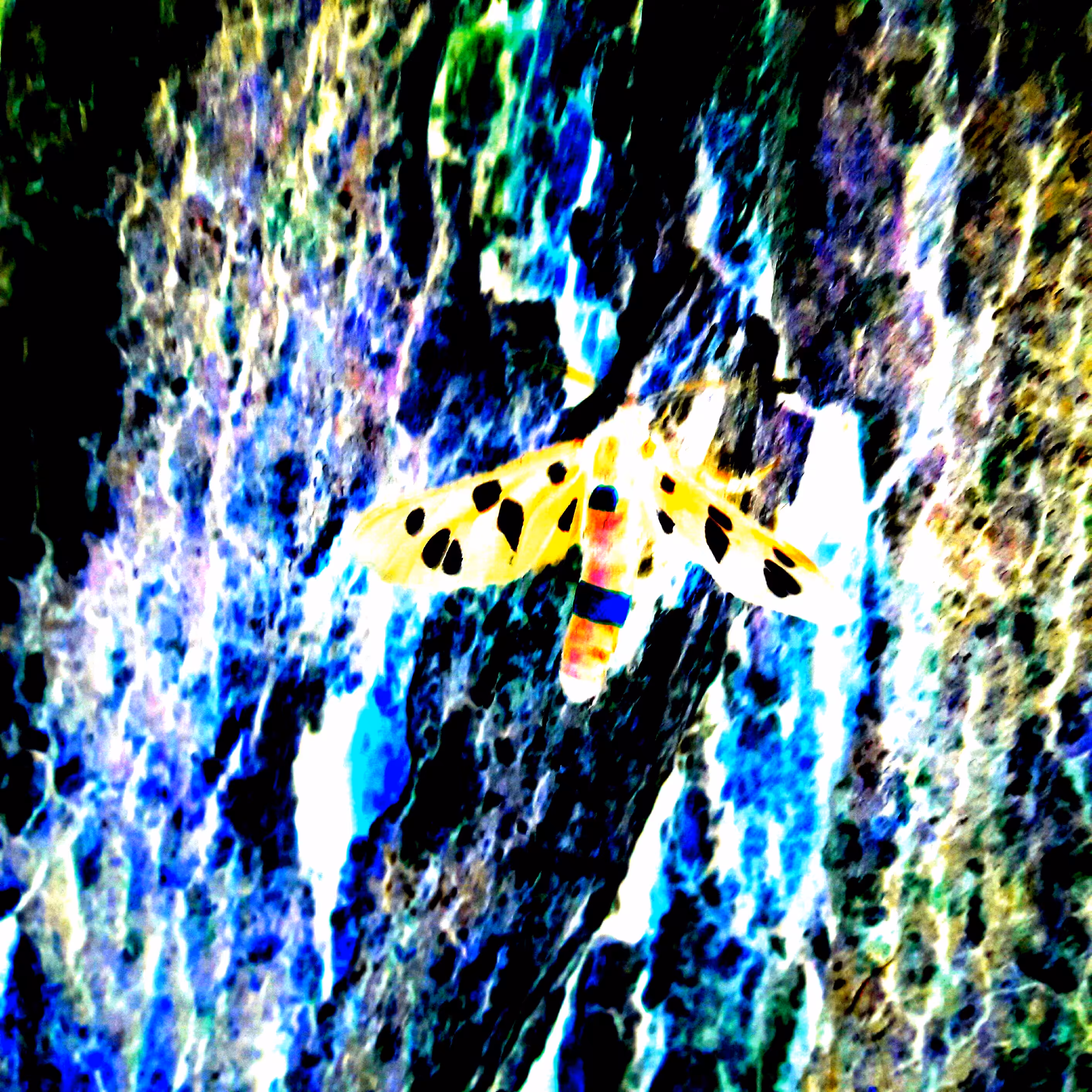 Trip 10