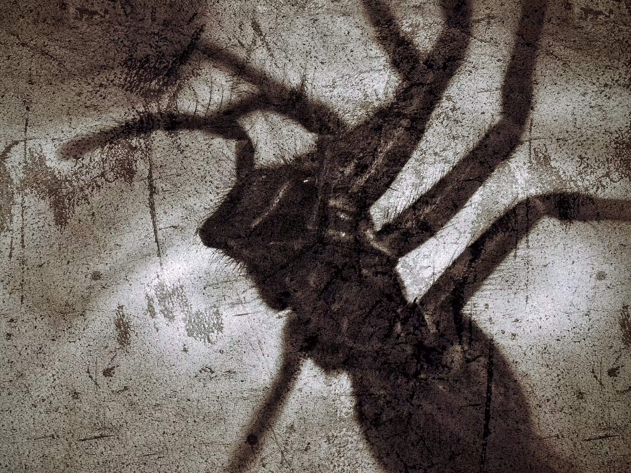 Unwanted Guest