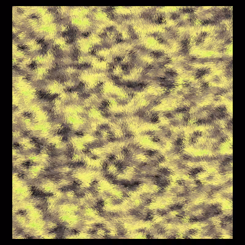 Pigmenta #61
