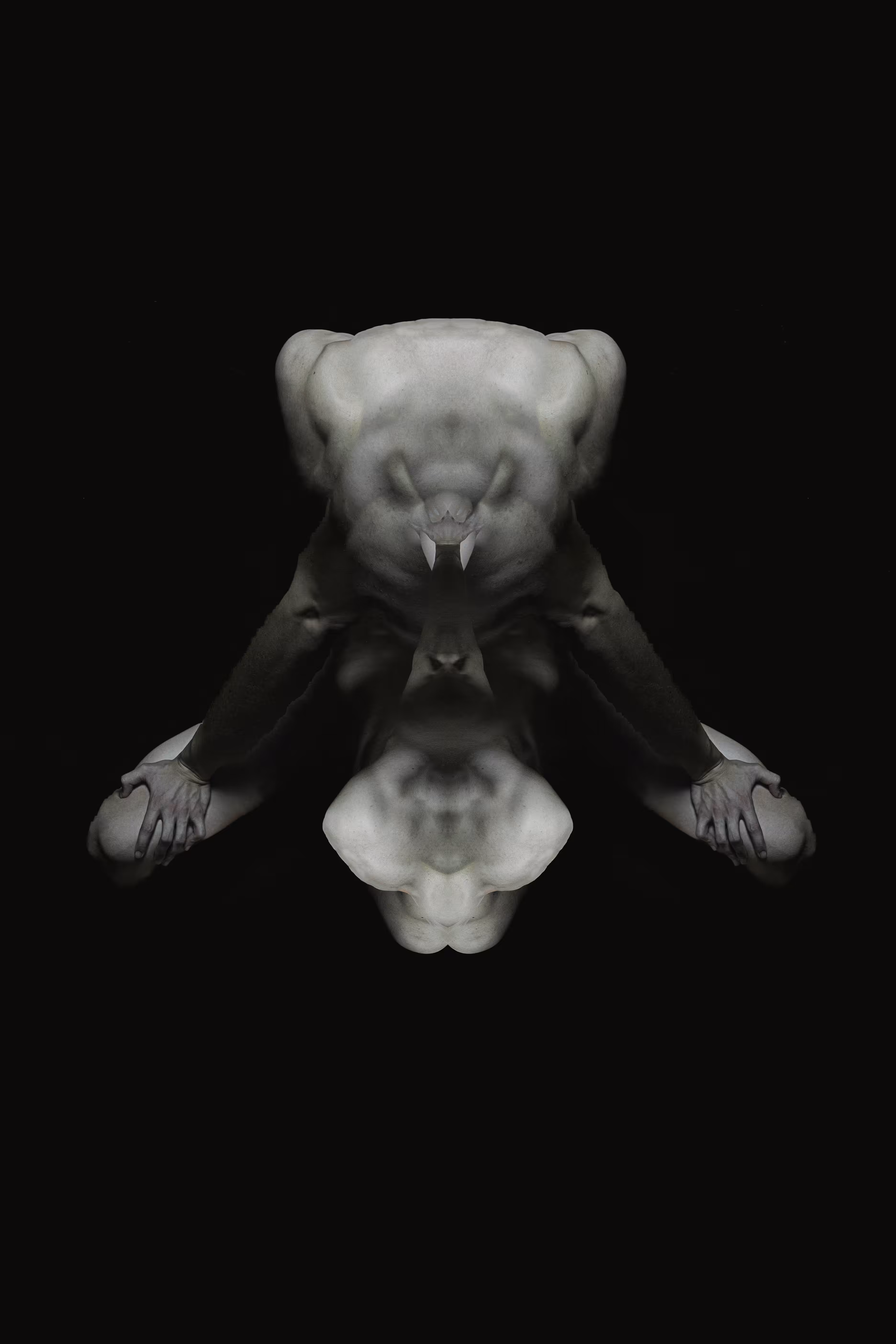 the symmetry of the human body