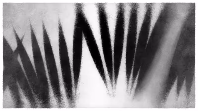 Speed of Dark #30