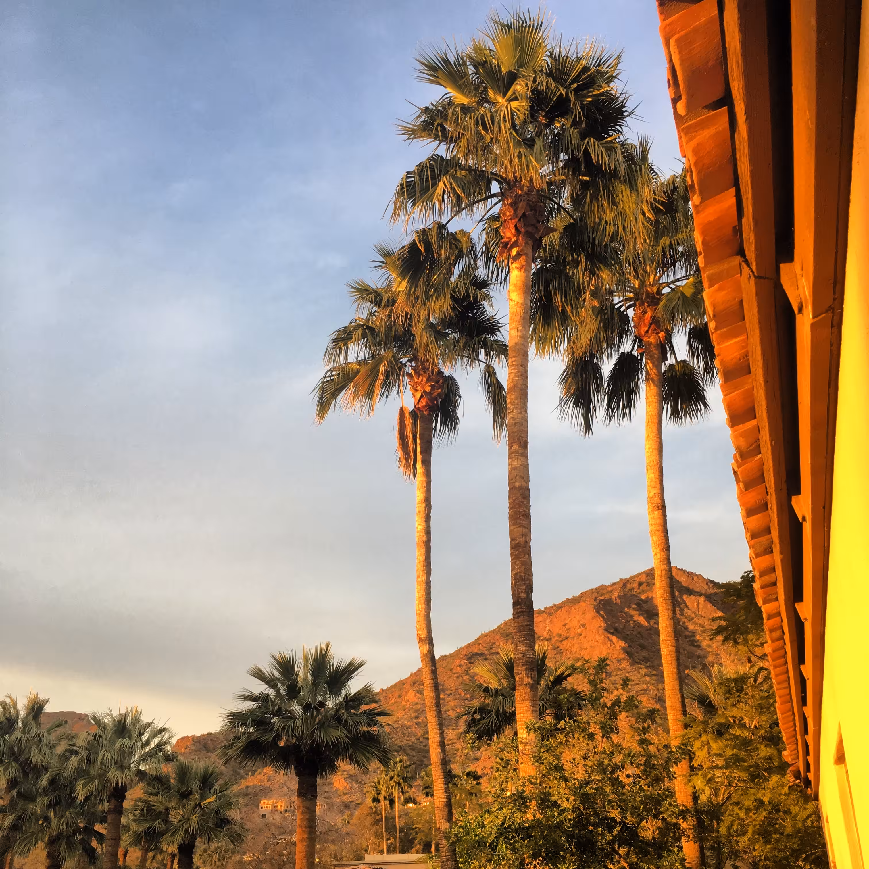 009_North Phoenix Sunset_03.17.2017
