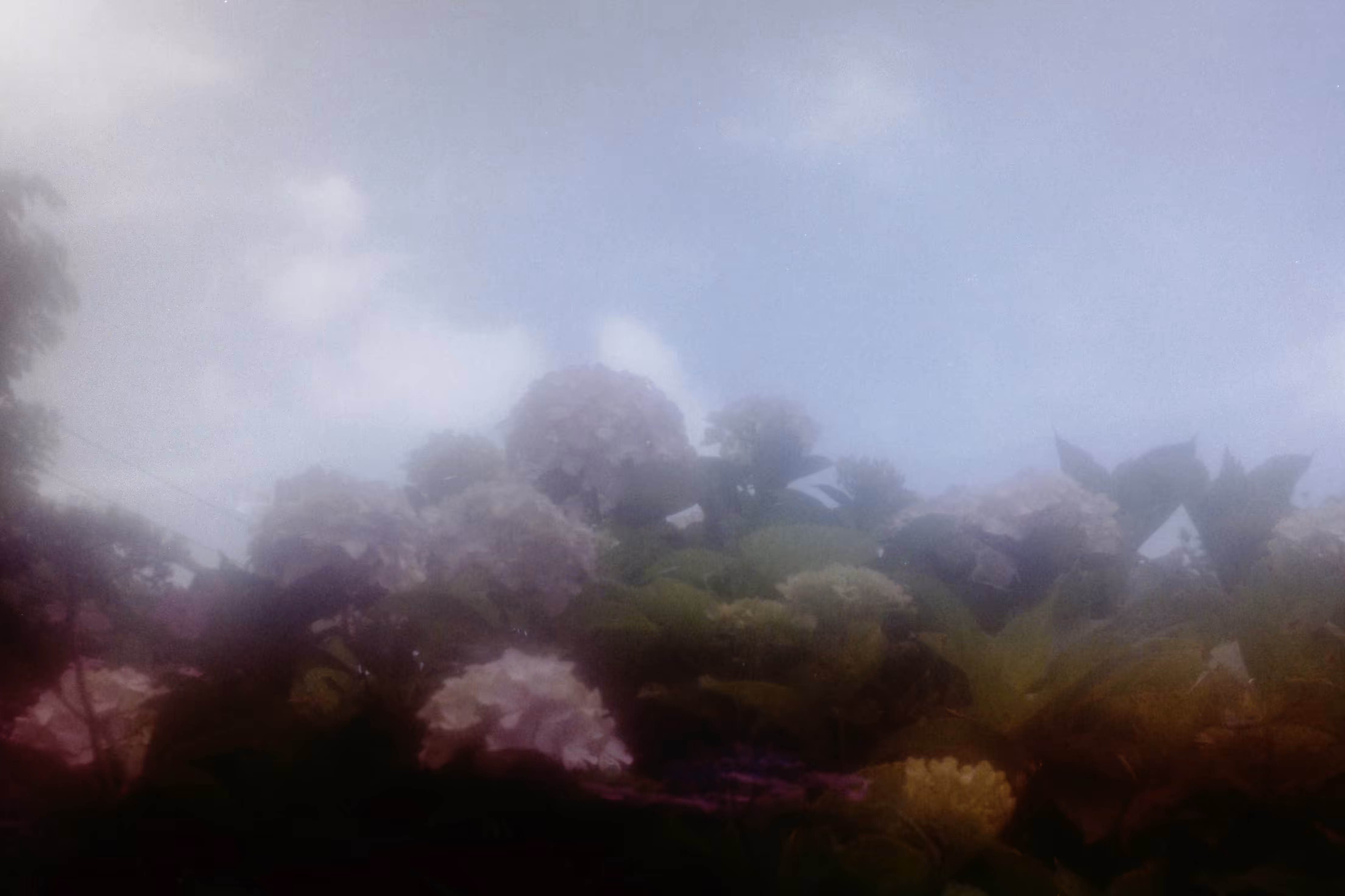 Heaven Series: The World of Film - Beautiful World