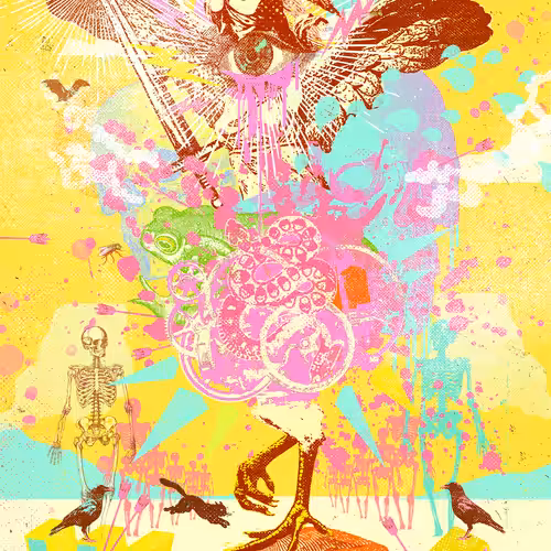 Showdeer: THE VICTOR