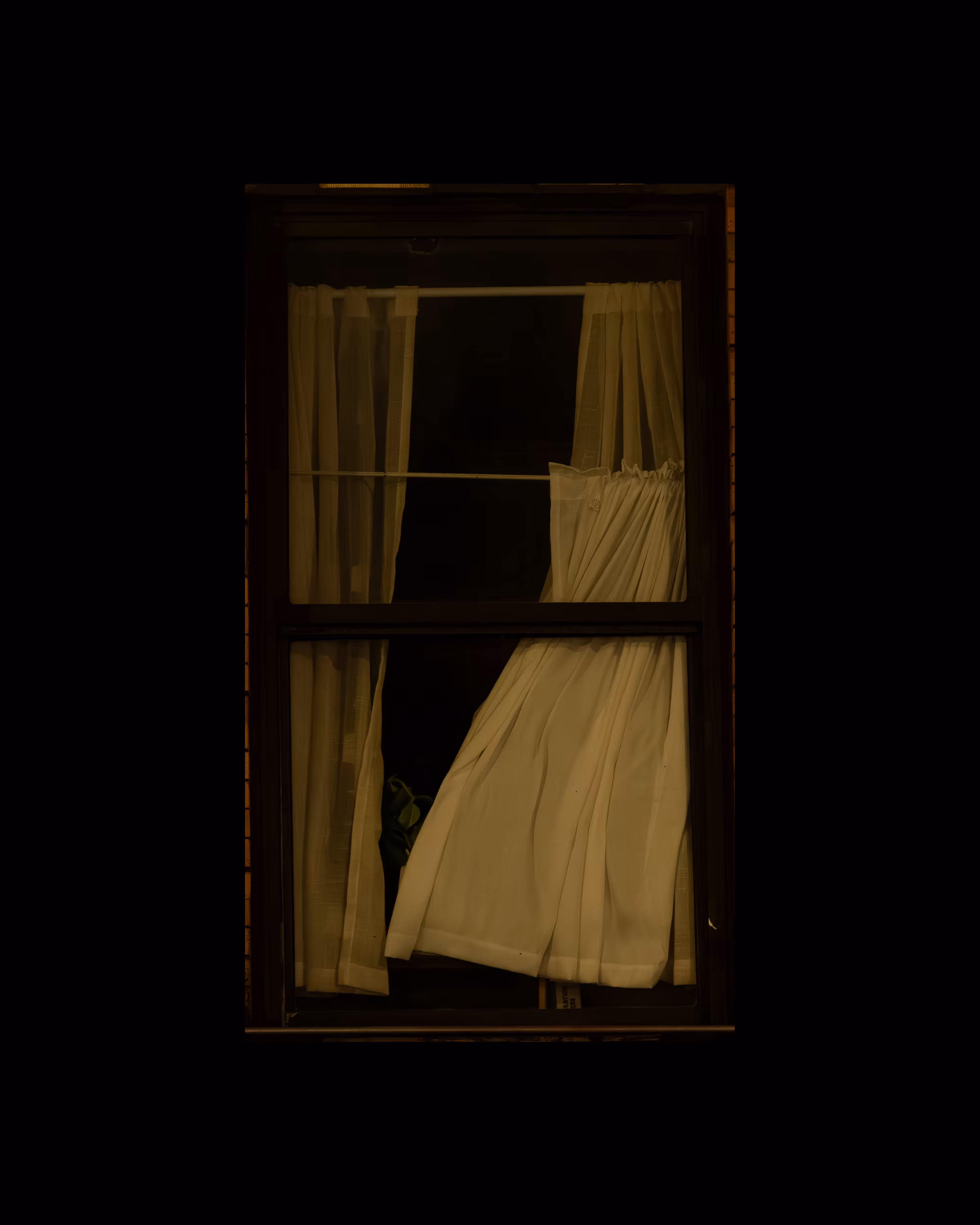 WINDOWS // NYC: WINDOW 240